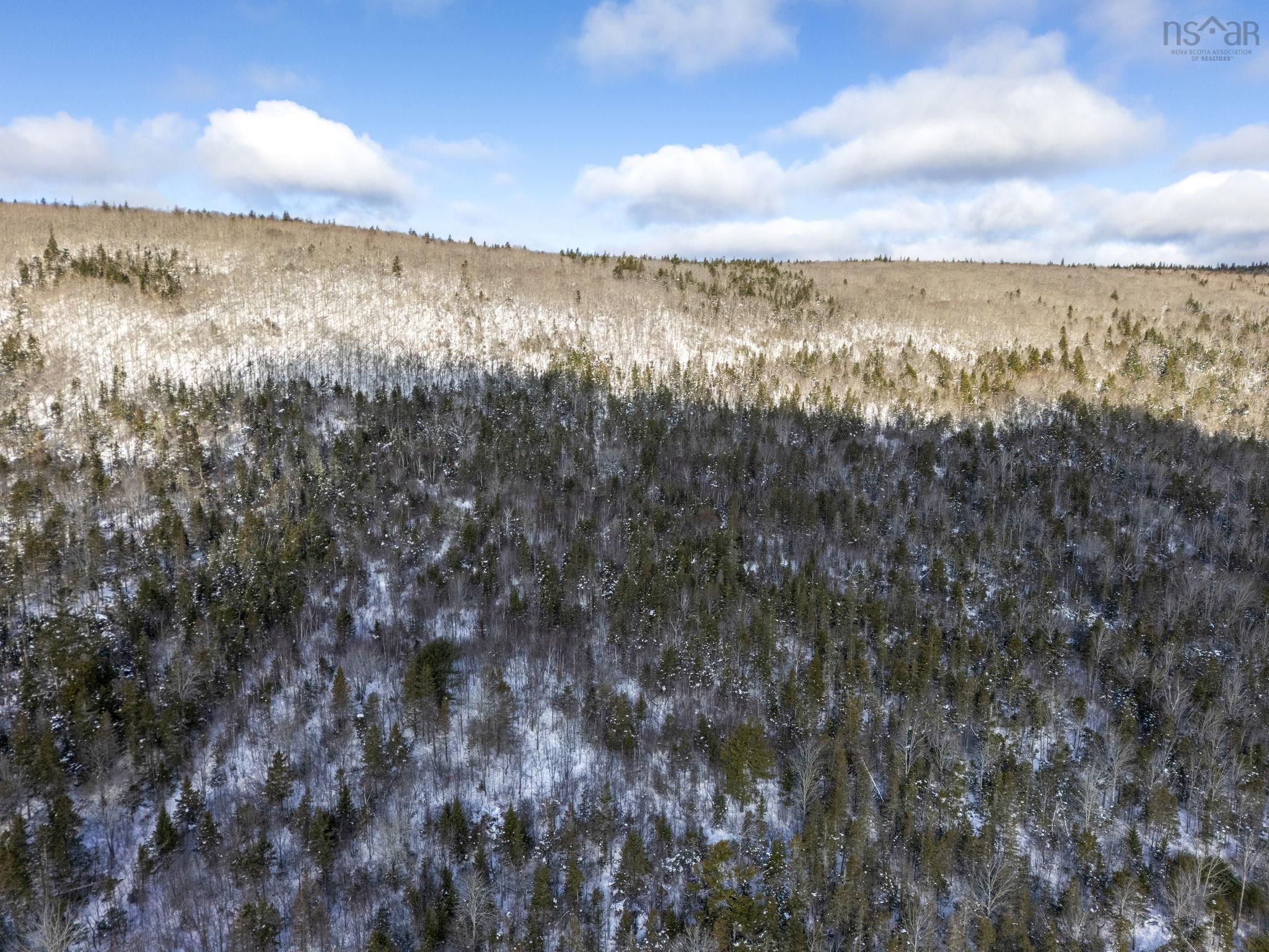 $150,000.00: Lot Mckenzie Mountain Road, Port Royal