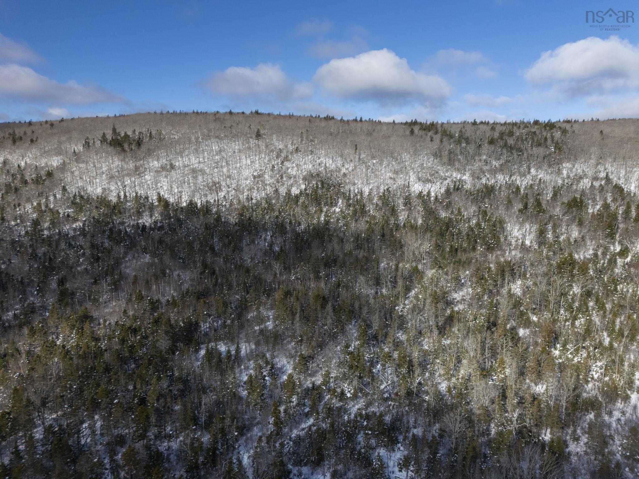 $150,000.00: Lot Mckenzie Mountain Road, Port Royal