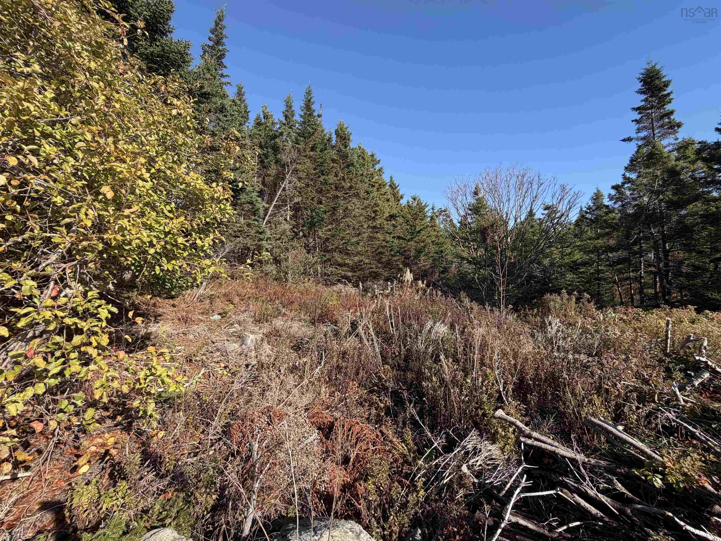 $159,900.00: 429 Highway 7, Ecum Secum