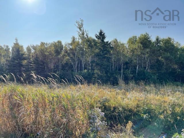 $89,000.00: Lot 20 Beach Chair Lane, Pugwash