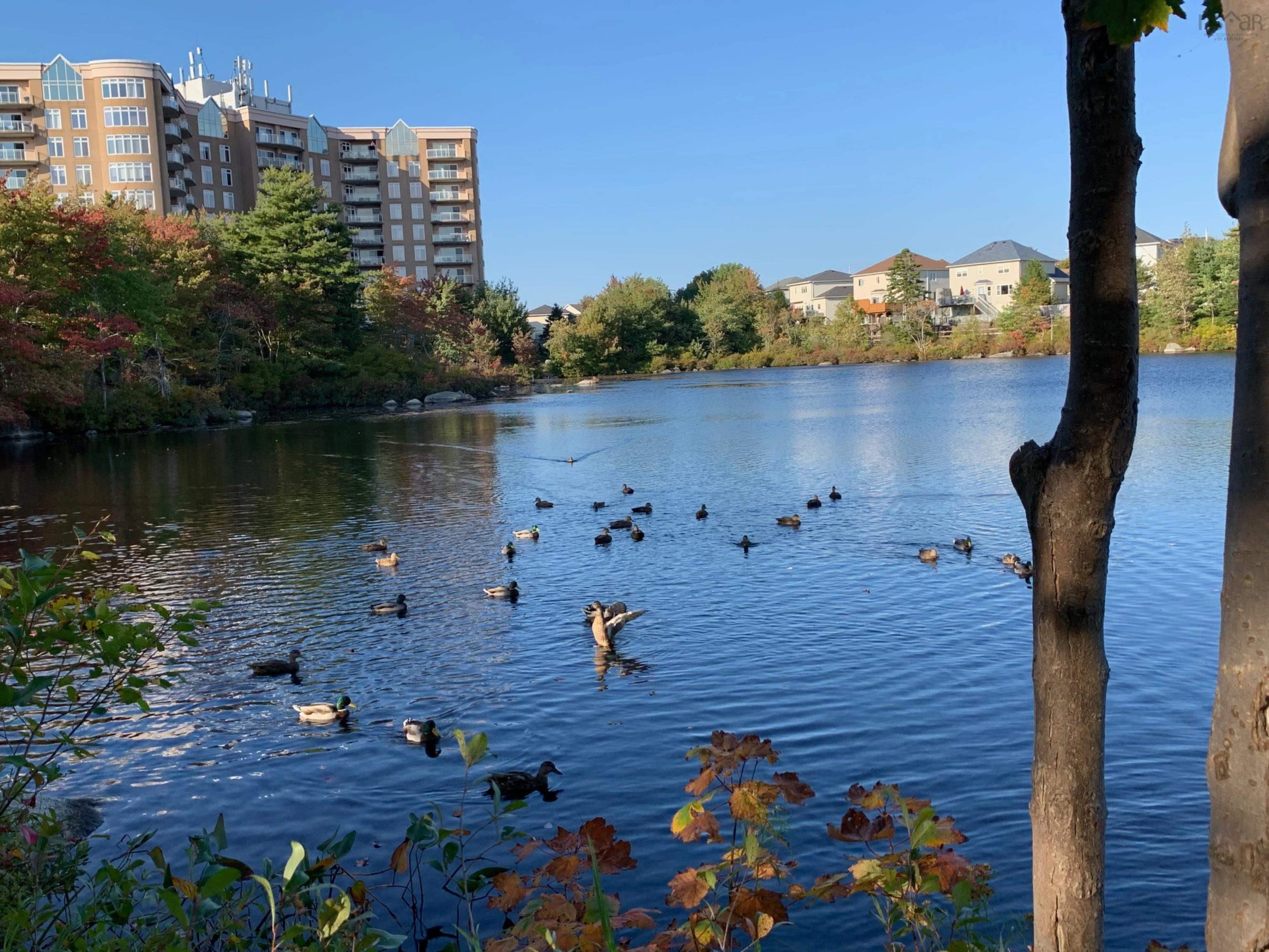 711 202 Walter Havill Drive, Halifax, NS (MLS 202602296)