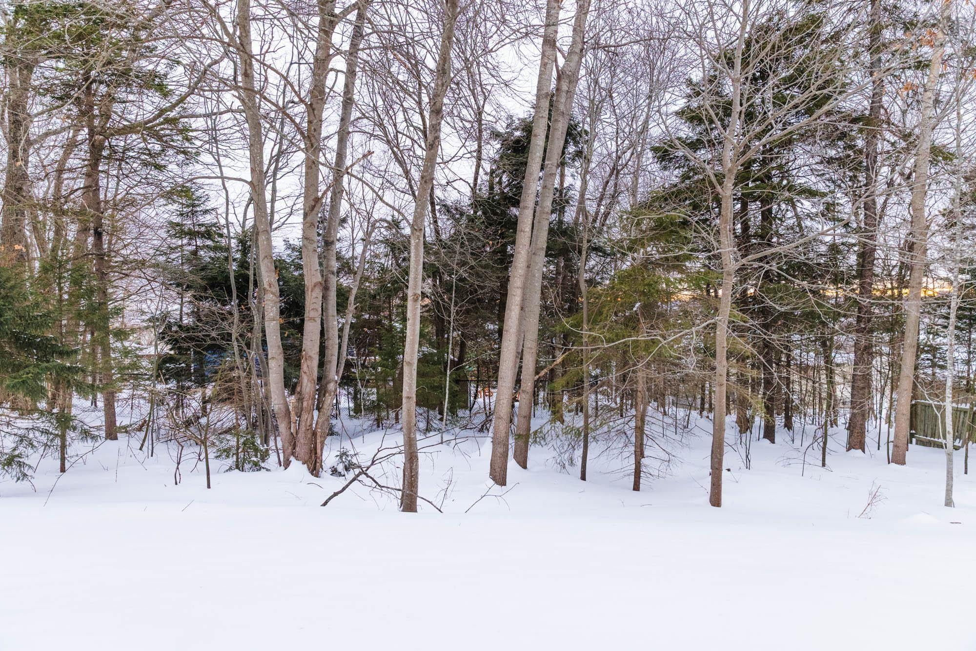 15 Appian Way, Dartmouth, NS (MLS 202602315)