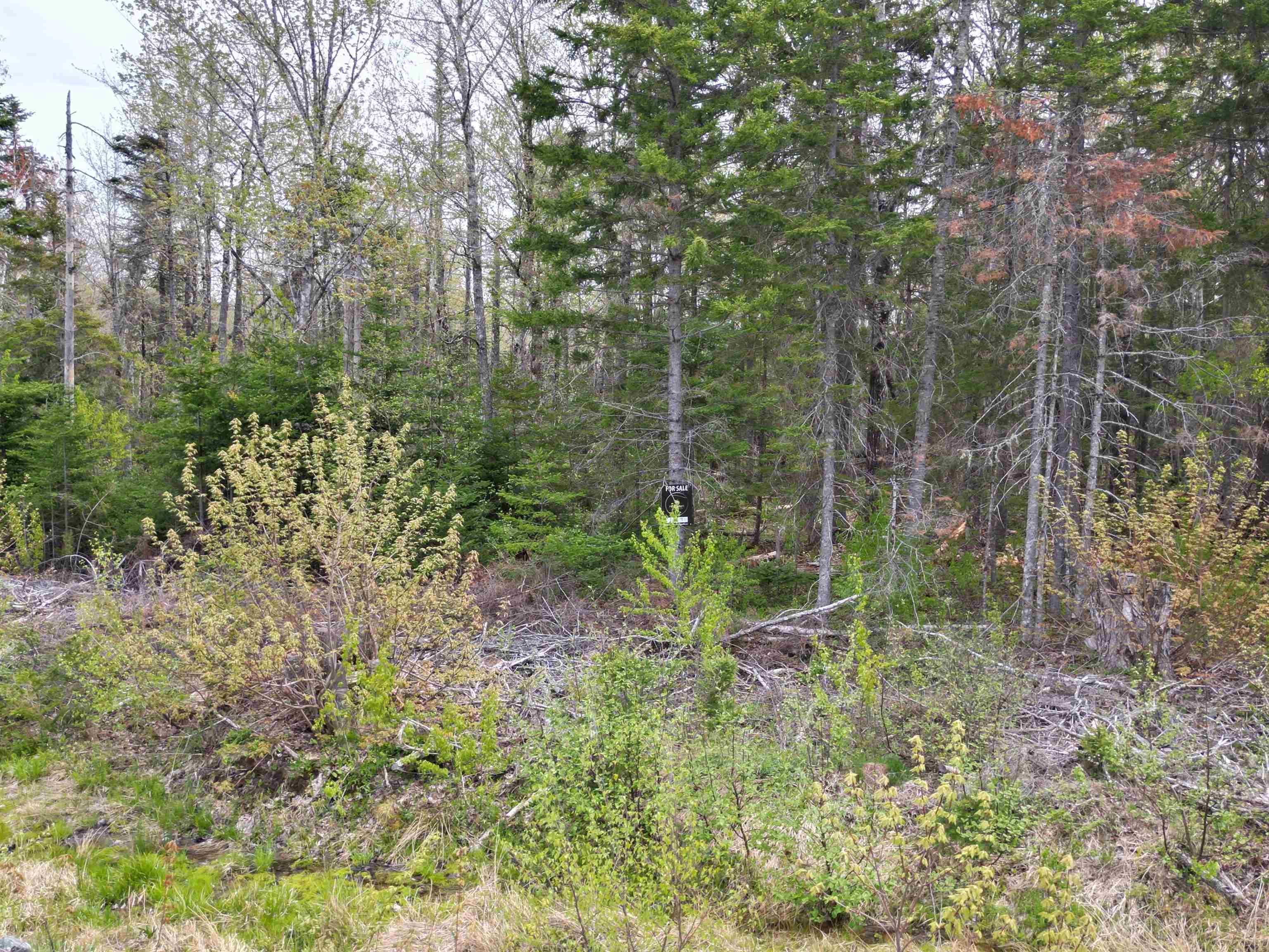 $43,500.00: Lot 23-5 Whiskey Way, Wentworth