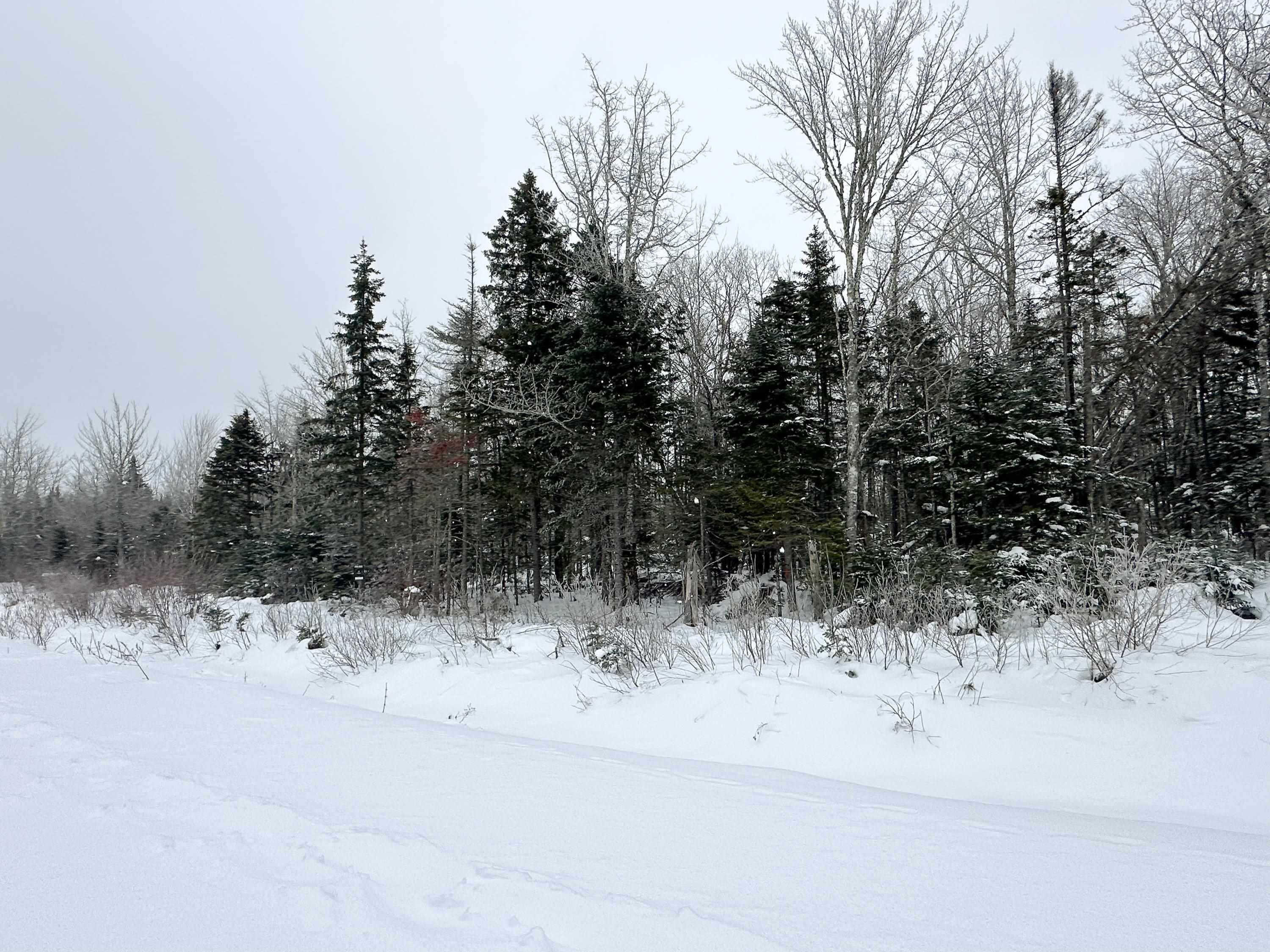 $43,500.00: Lot 23-5 Whiskey Way, Wentworth