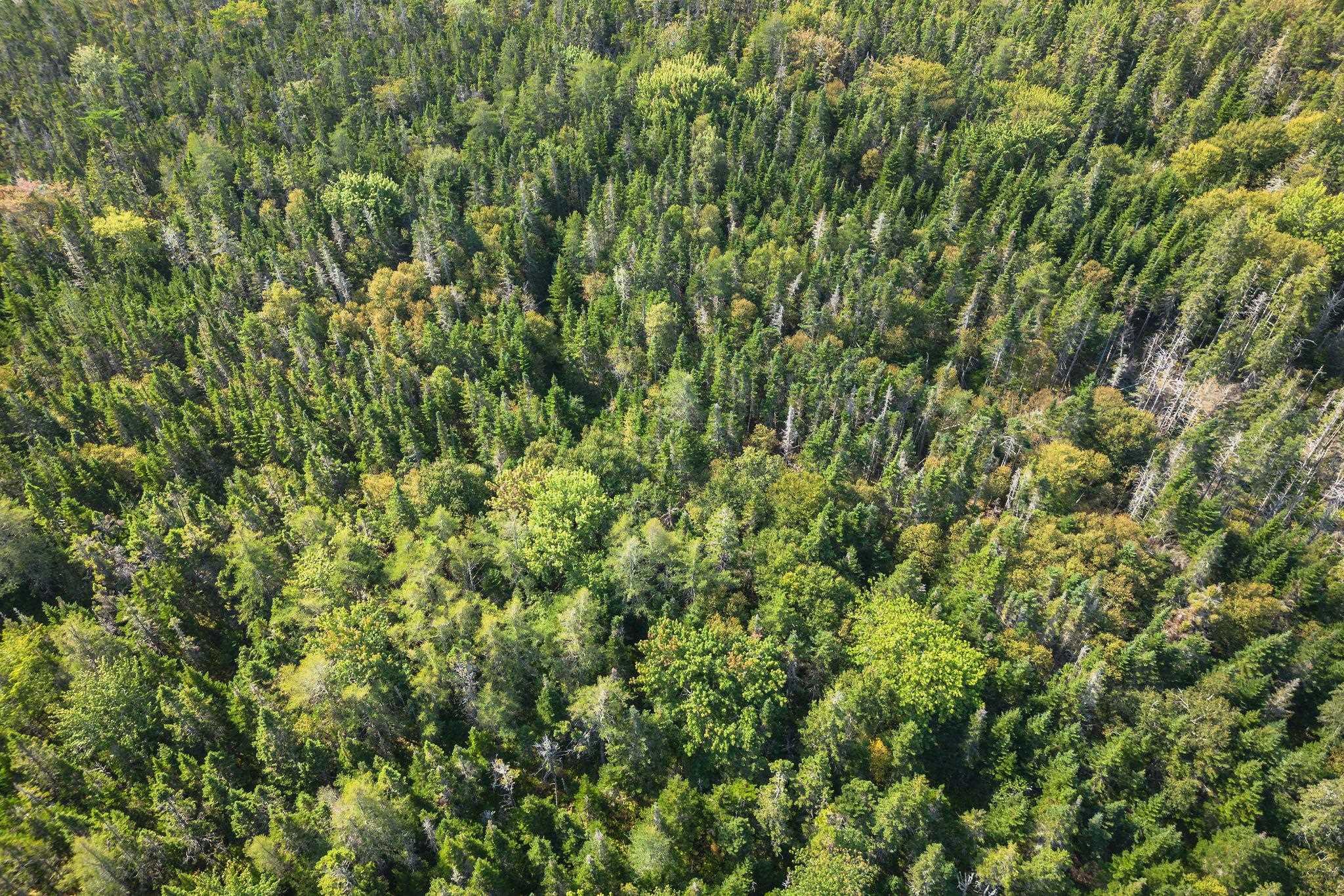 $49,000.00: Lot 76 Peter Sosna Dr., Hay Cove