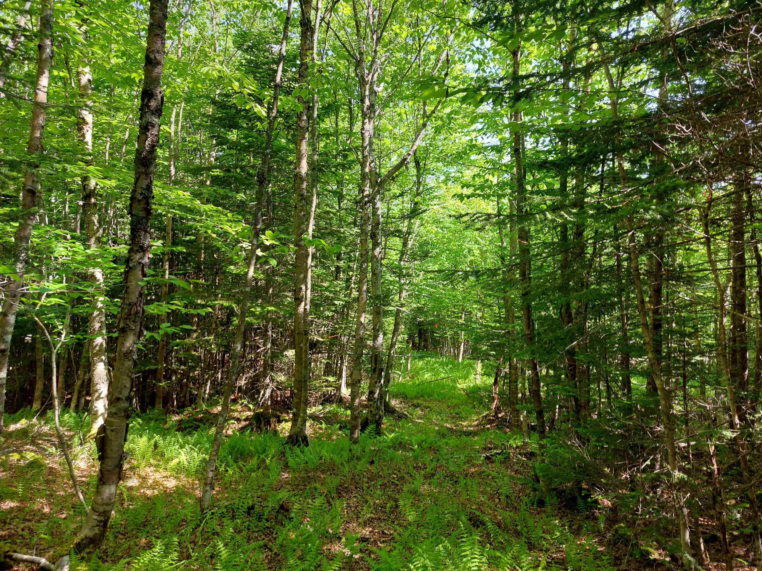 $49,000.00: Lot 76 Peter Sosna Dr., Hay Cove