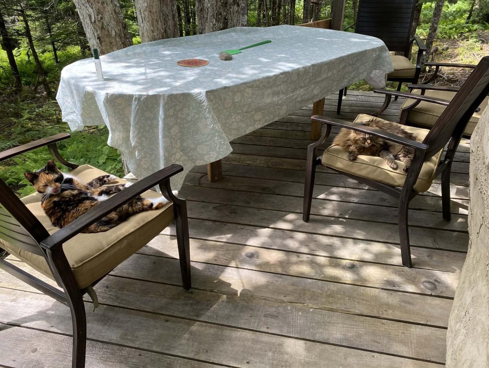 $144,900.00: 143 Cedar Drive, Cape George Estates