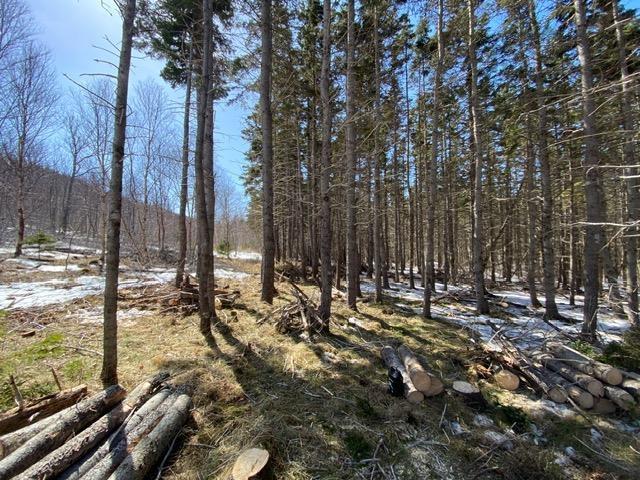 $178,500.00: Lot 21-8 Shore Road, Margaree Harbour