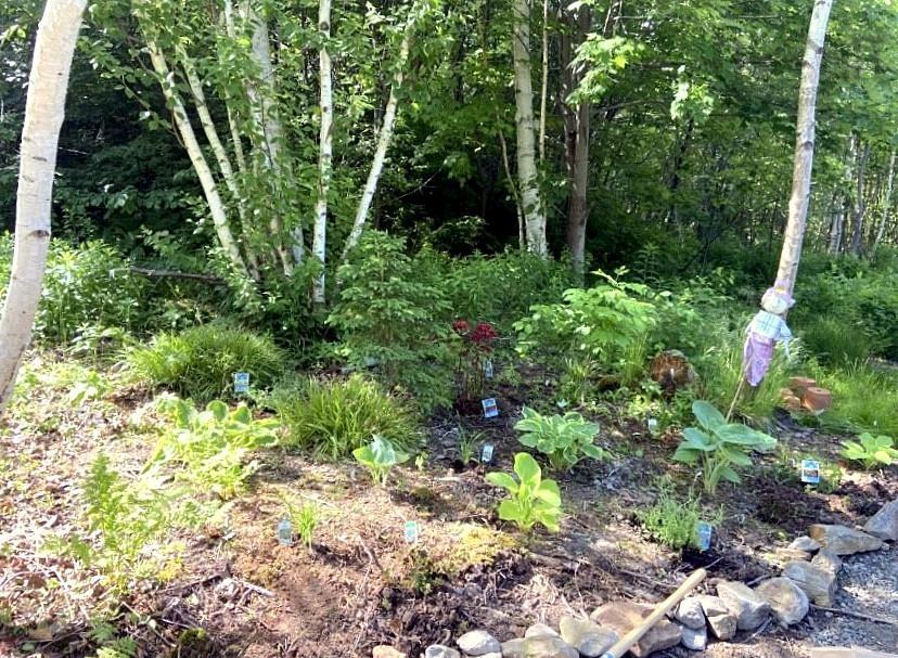 $178,500.00: Lot 21-8 Shore Road, Margaree Harbour