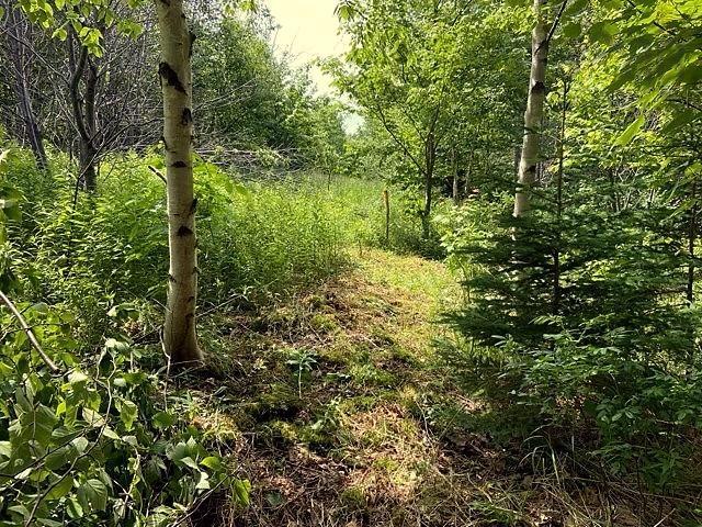 $178,500.00: Lot 21-8 Shore Road, Margaree Harbour