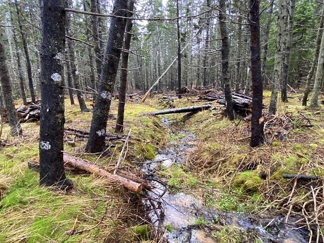 $178,500.00: Lot 21-8 Shore Road, Margaree Harbour
