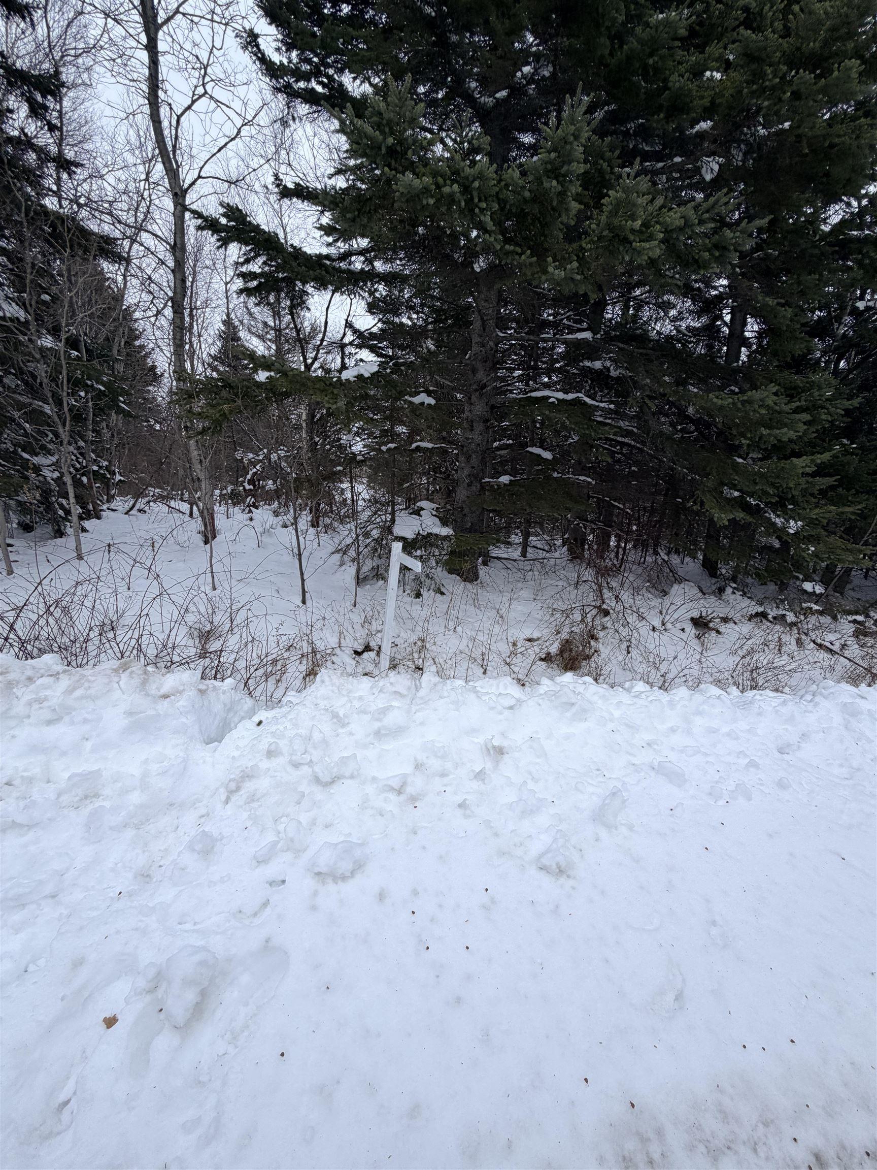 $48,500.00: Spanish River Court, Sydney Forks