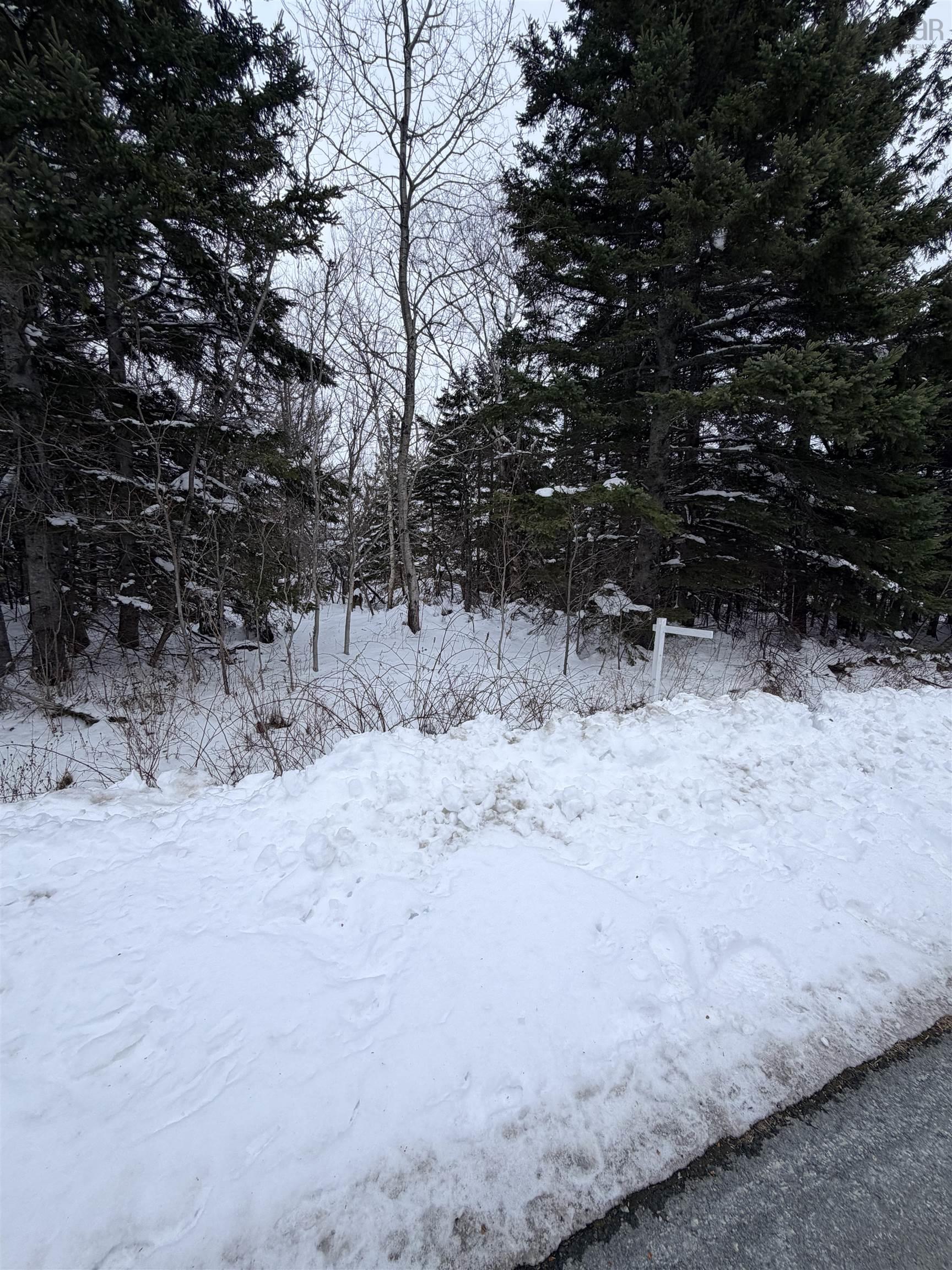 $48,500.00: Spanish River Court, Sydney Forks