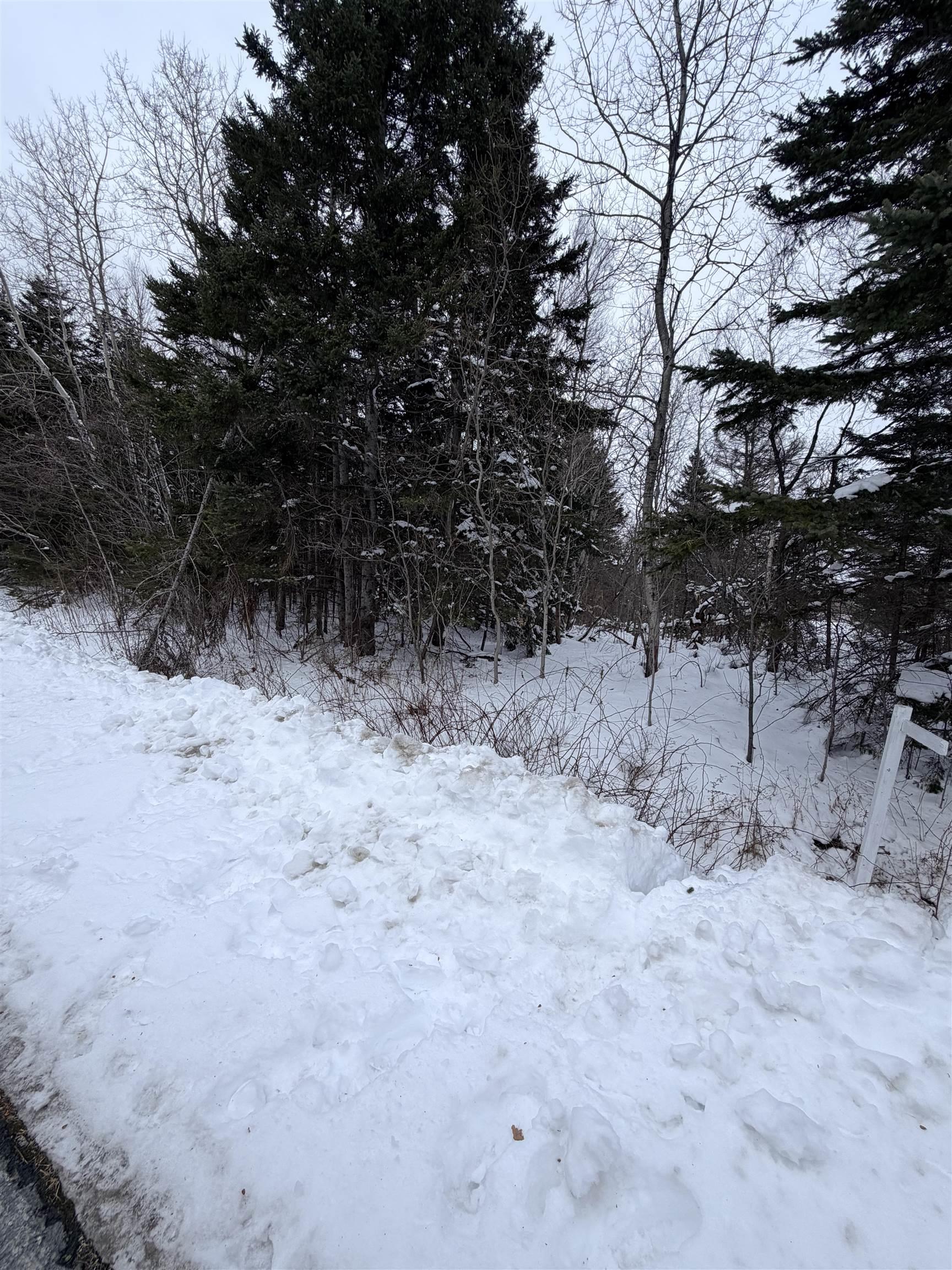 $48,500.00: Spanish River Court, Sydney Forks