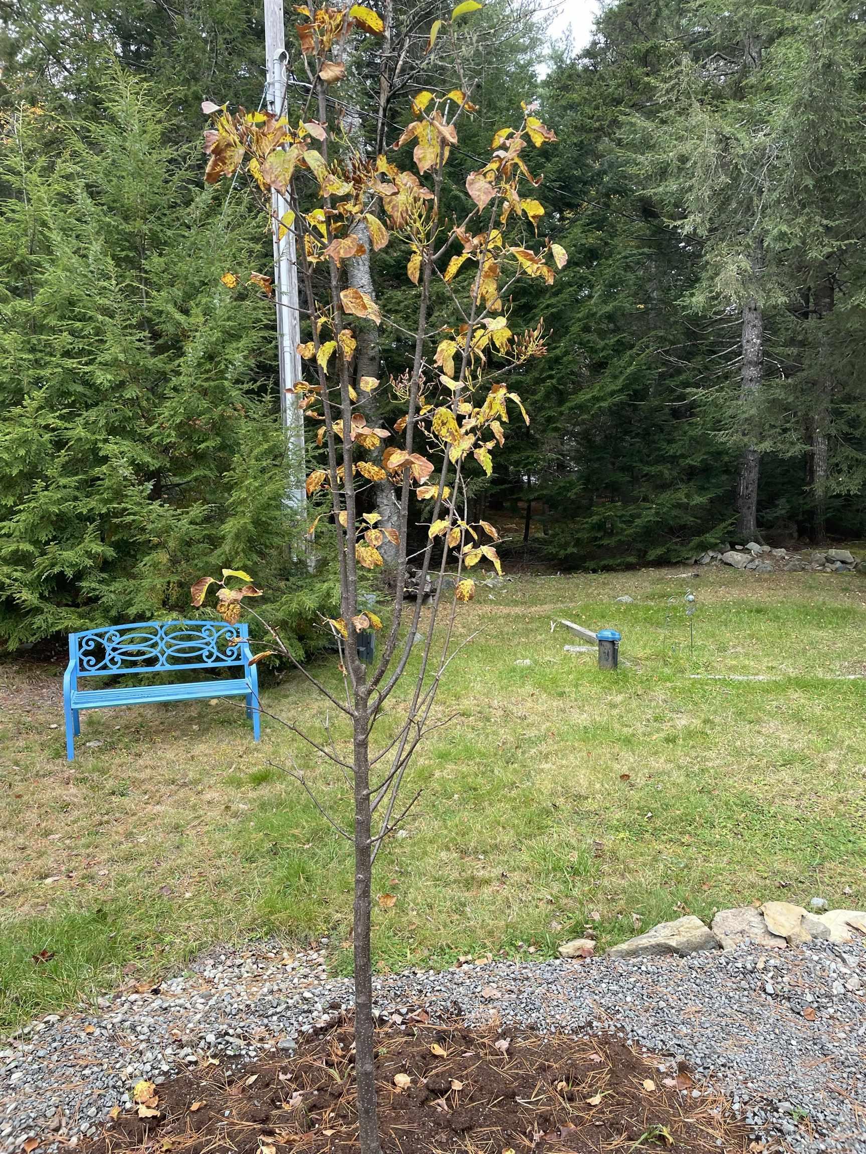 $669,000.00: 123 Deer Point Road, Labelle