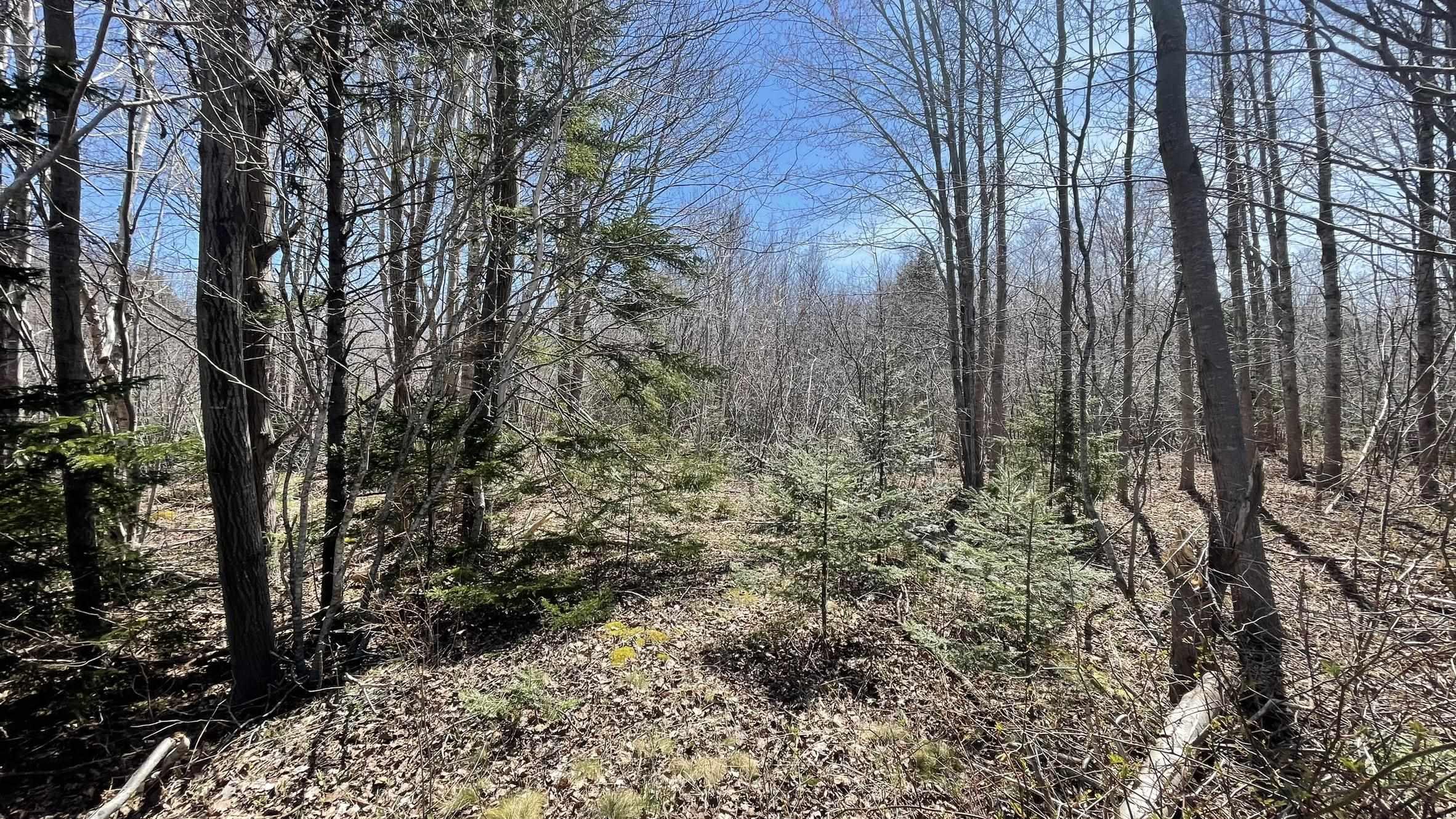 $28,000.00: Lot 2 Jordantown Cross Road, Conway