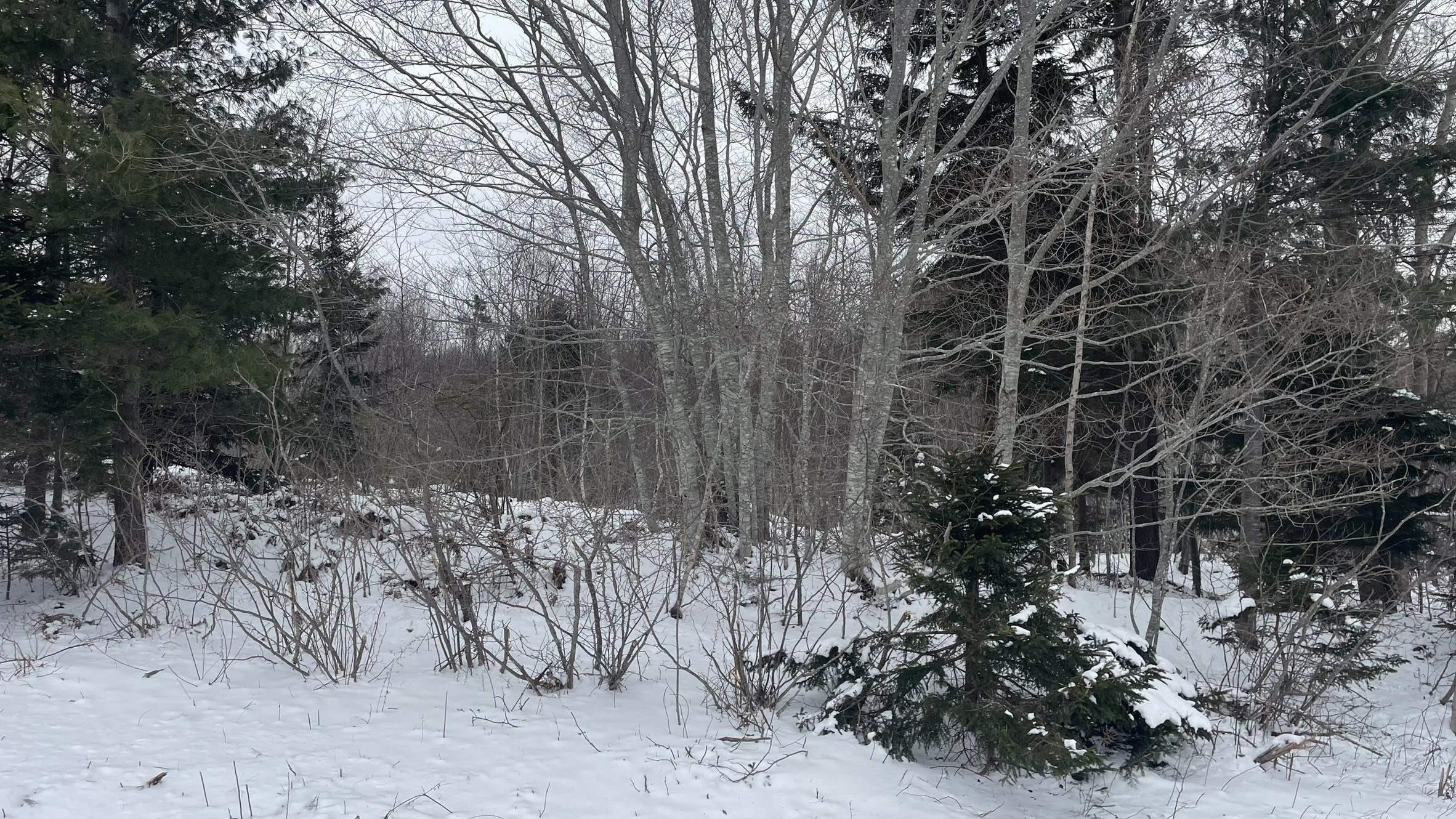 $28,000.00: Lot 2 Jordantown Cross Road, Conway