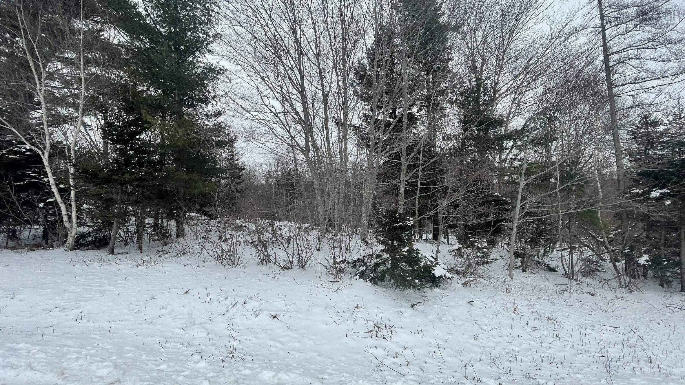 $28,000.00: Lot 2 Jordantown Cross Road, Conway