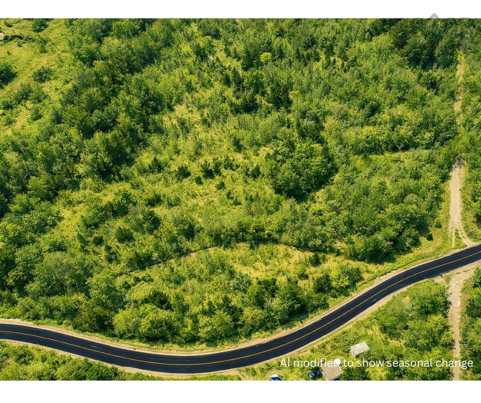 $28,000.00: Lot 2 Jordantown Cross Road, Conway
