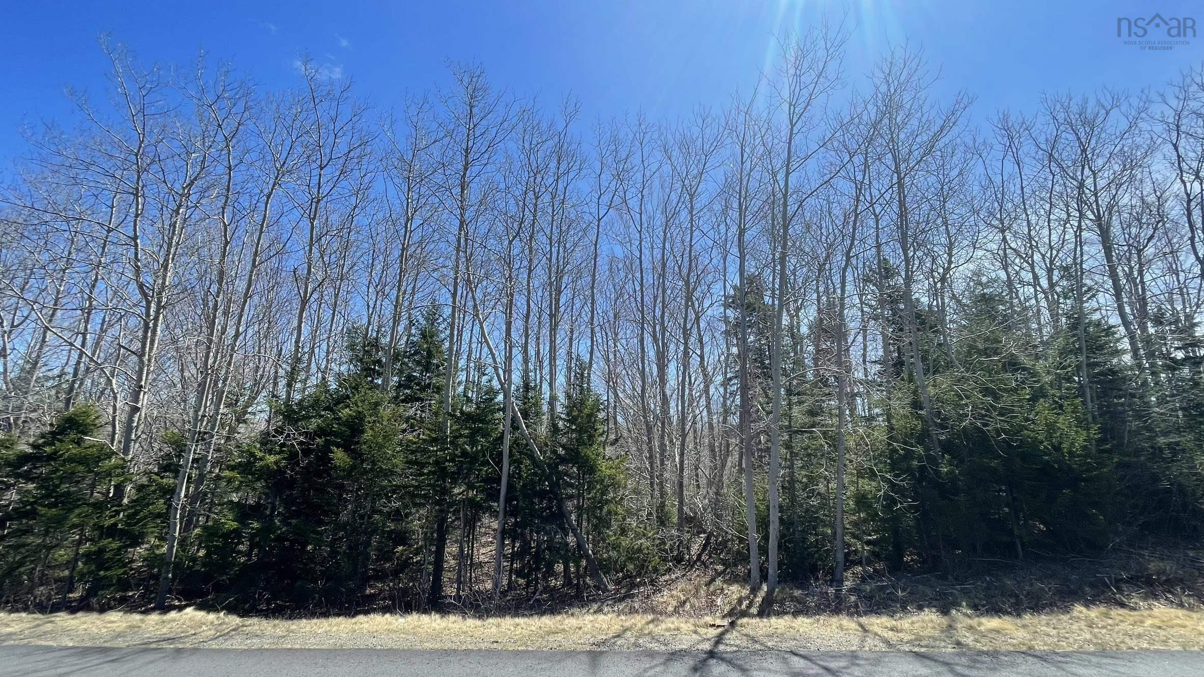 $28,000.00: Lot 2 Jordantown Cross Road, Conway