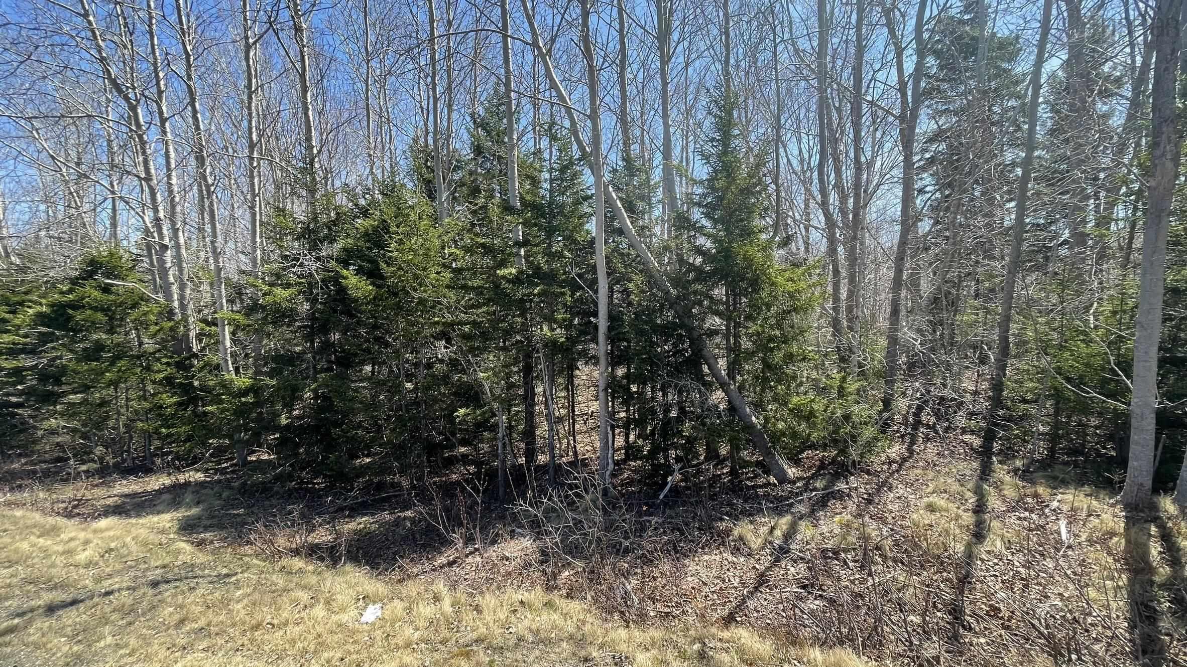 $28,000.00: Lot 2 Jordantown Cross Road, Conway