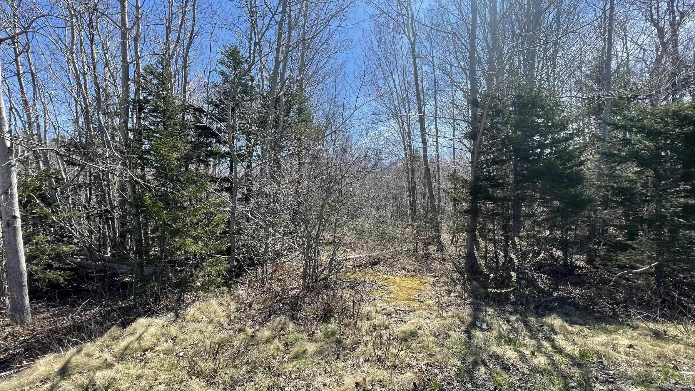 $28,000.00: Lot 2 Jordantown Cross Road, Conway