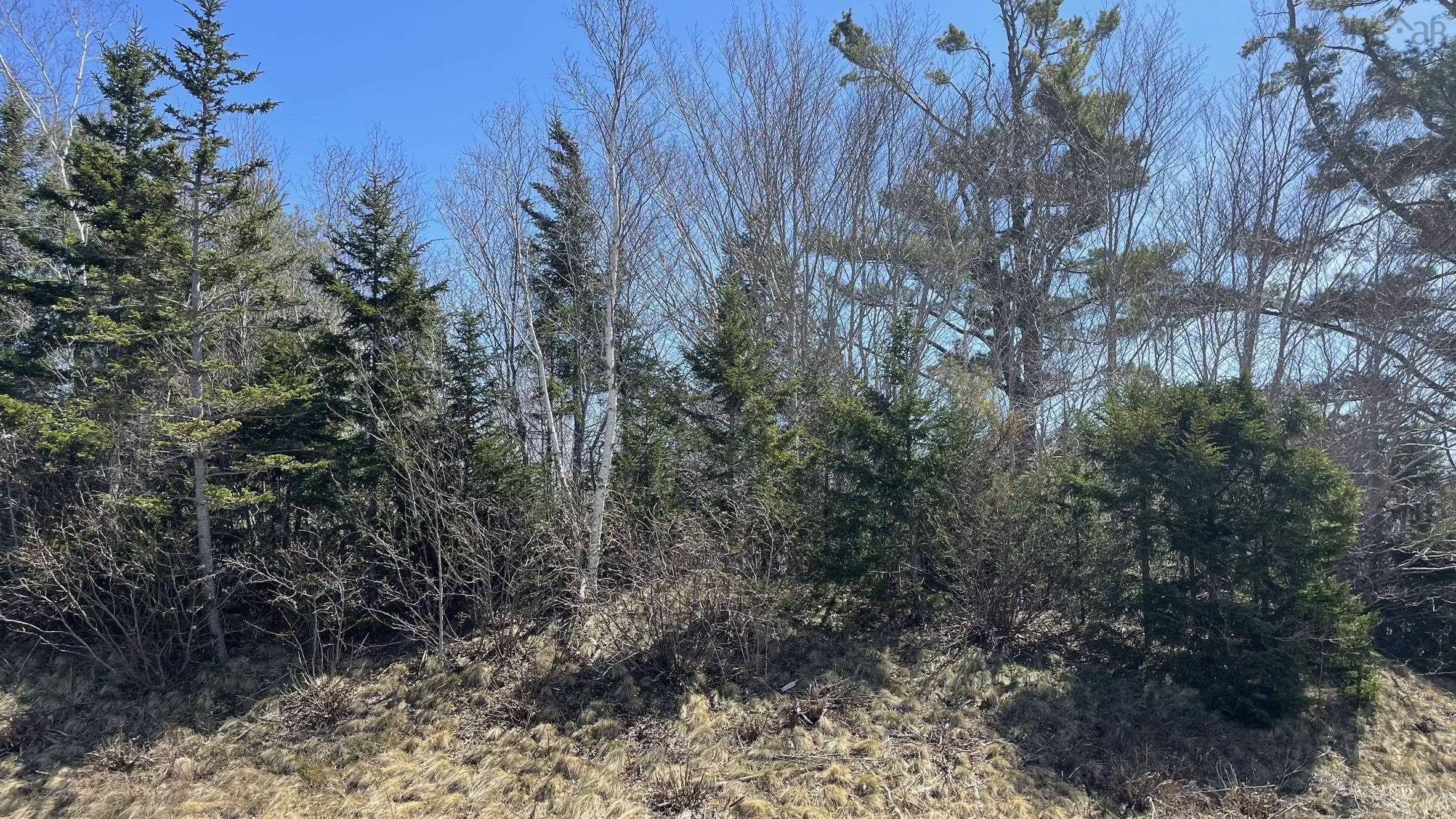 $28,000.00: Lot 3 Jordantown Cross Road, Conway