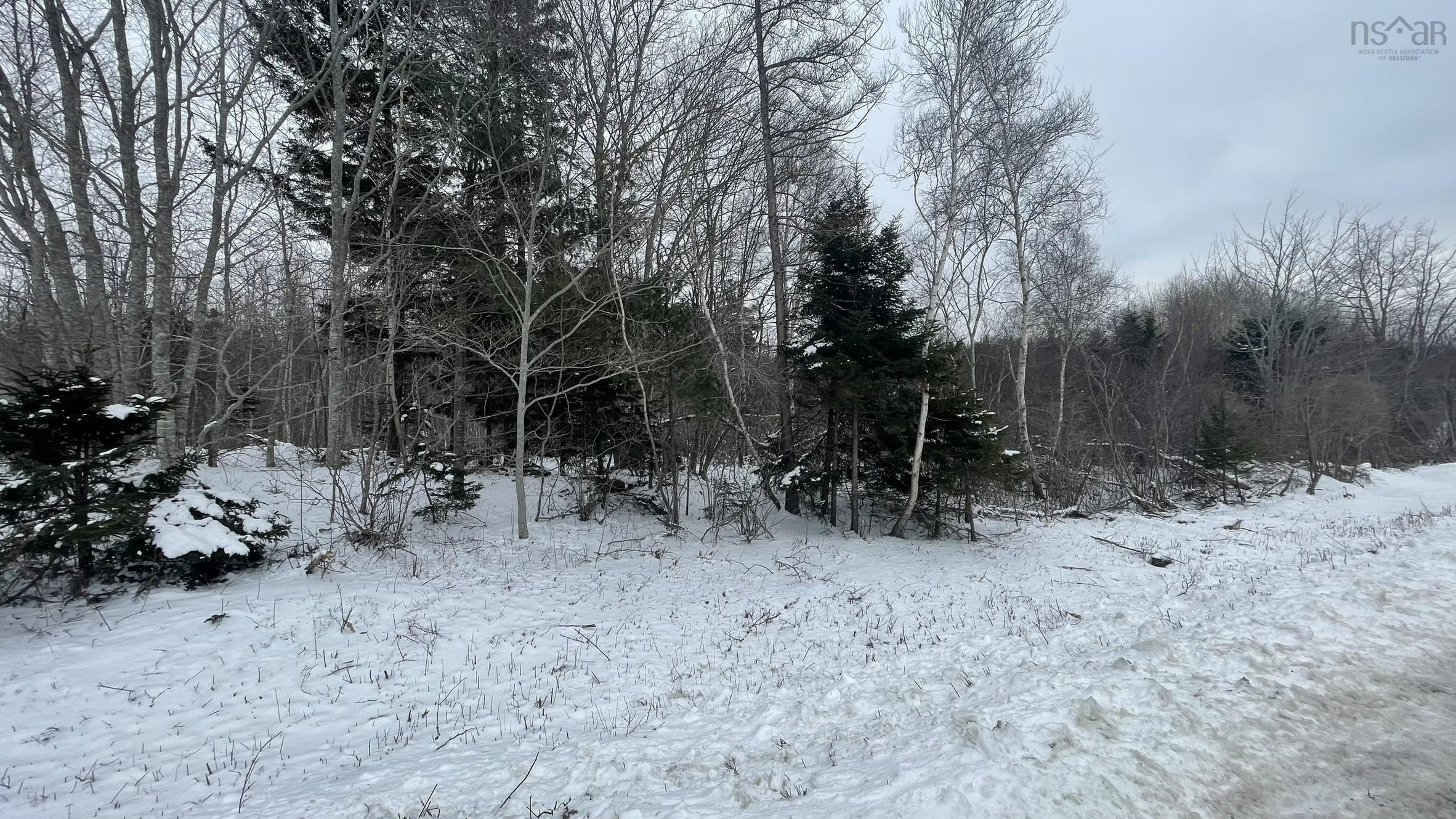 $28,000.00: Lot 3 Jordantown Cross Road, Conway