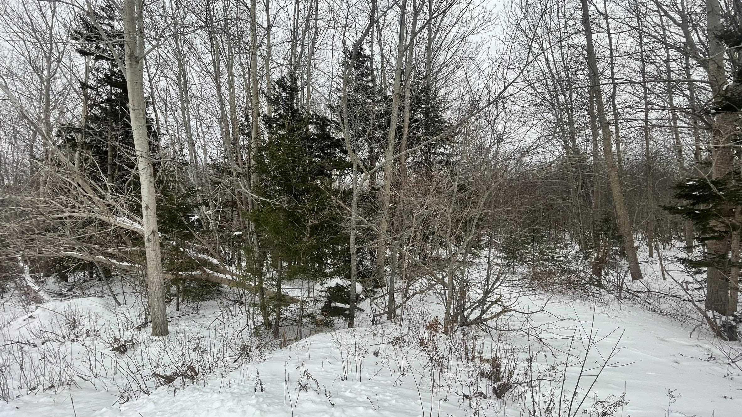$28,000.00: Lot 3 Jordantown Cross Road, Conway