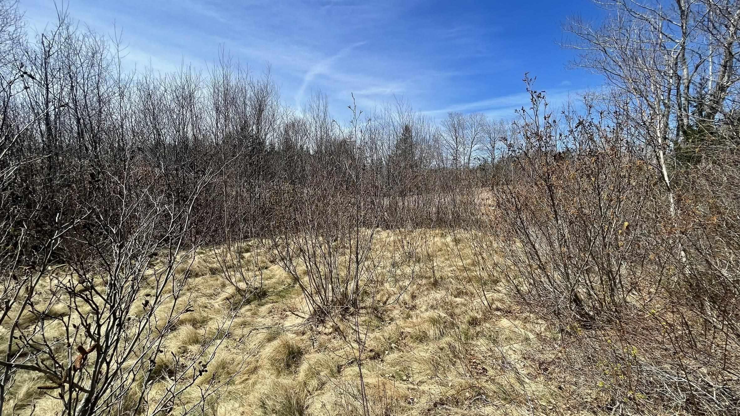 $28,000.00: Lot 3 Jordantown Cross Road, Conway
