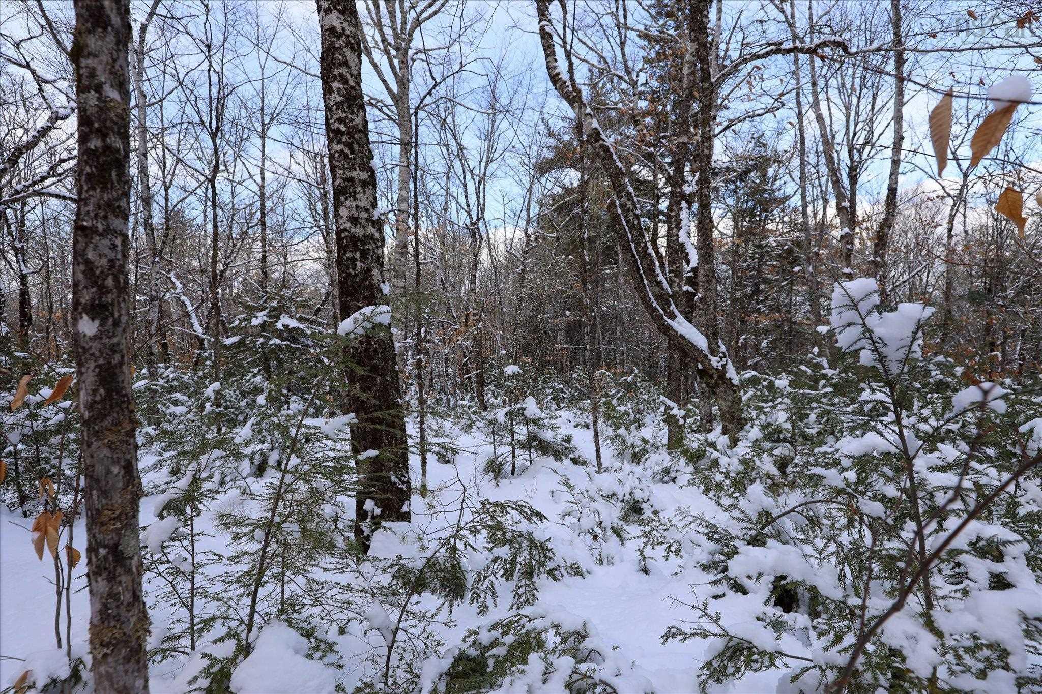 $35,000.00: 170 Uhlman Point Road, Molega North