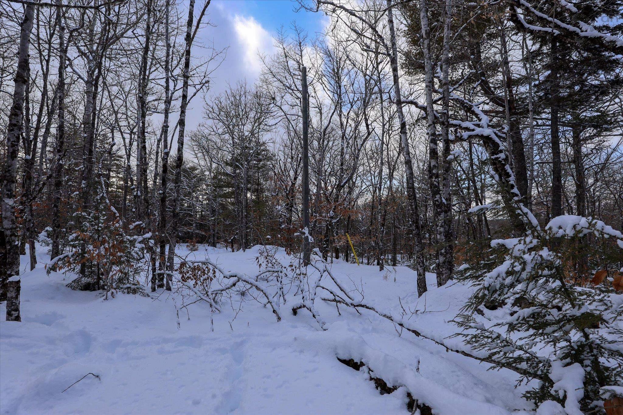 $35,000.00: 170 Uhlman Point Road, Molega North