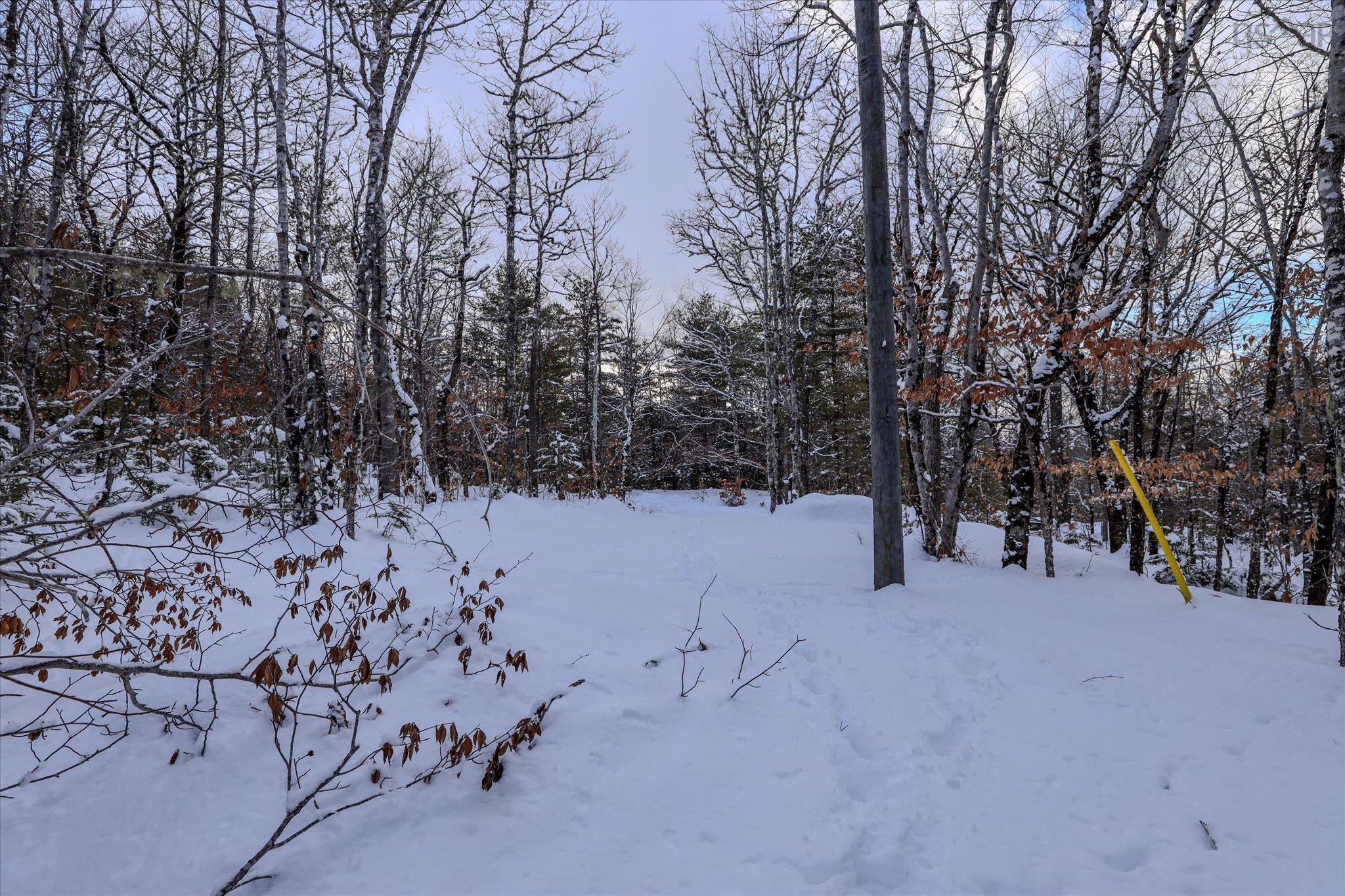 $35,000.00: 170 Uhlman Point Road, Molega North