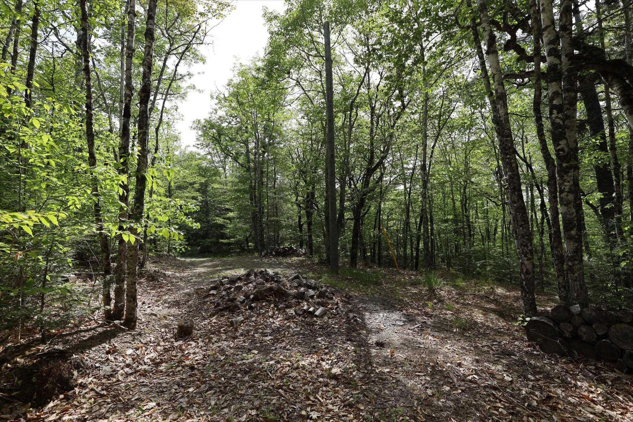 $29,900.00: 170 Uhlman Point Road, Molega North