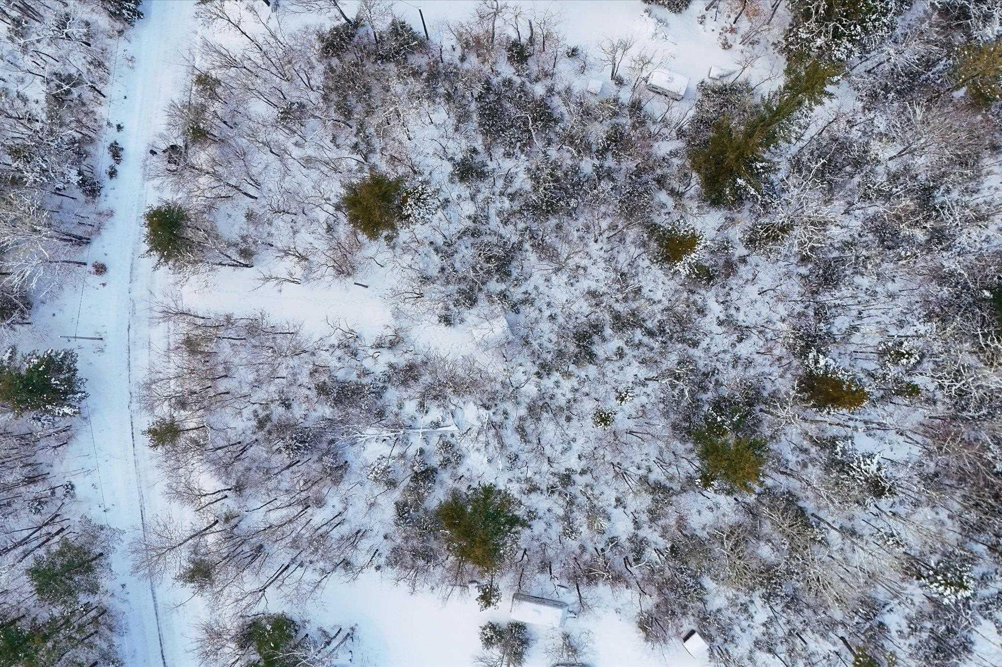 $35,000.00: 170 Uhlman Point Road, Molega North