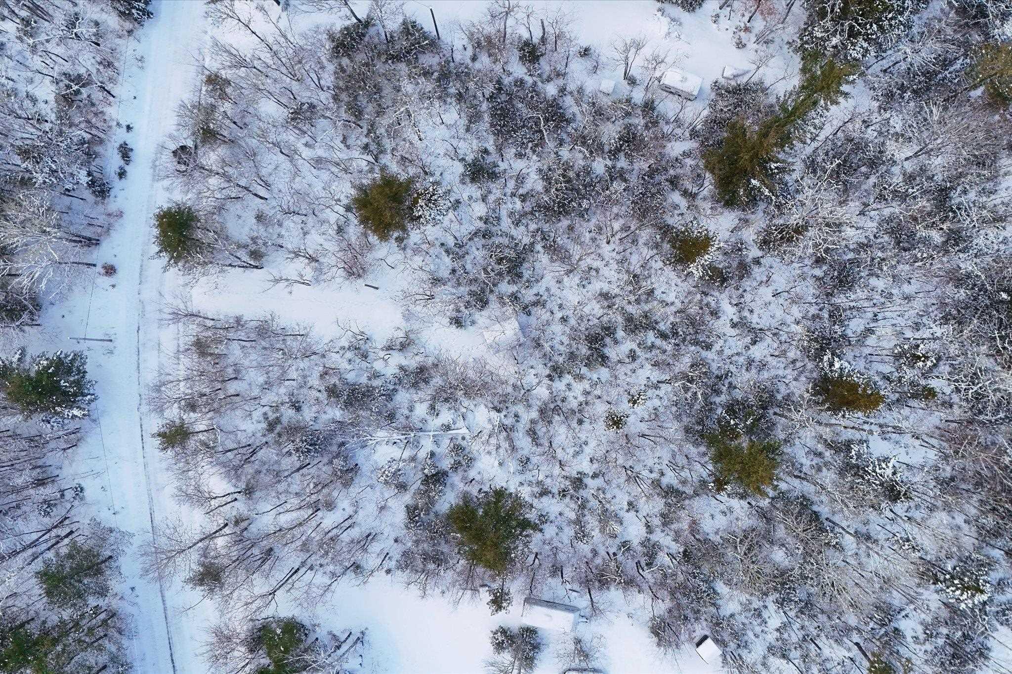 $35,000.00: 170 Uhlman Point Road, Molega North