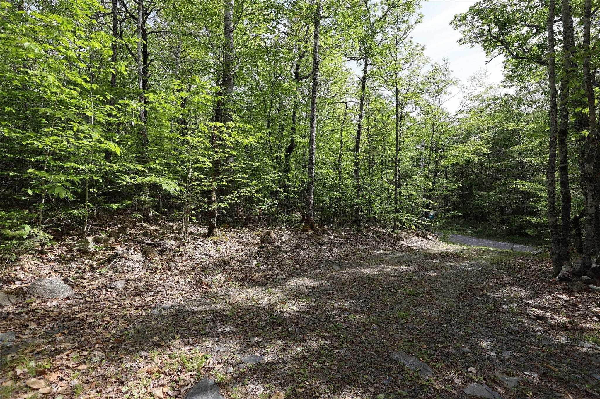 $29,900.00: 170 Uhlman Point Road, Molega North