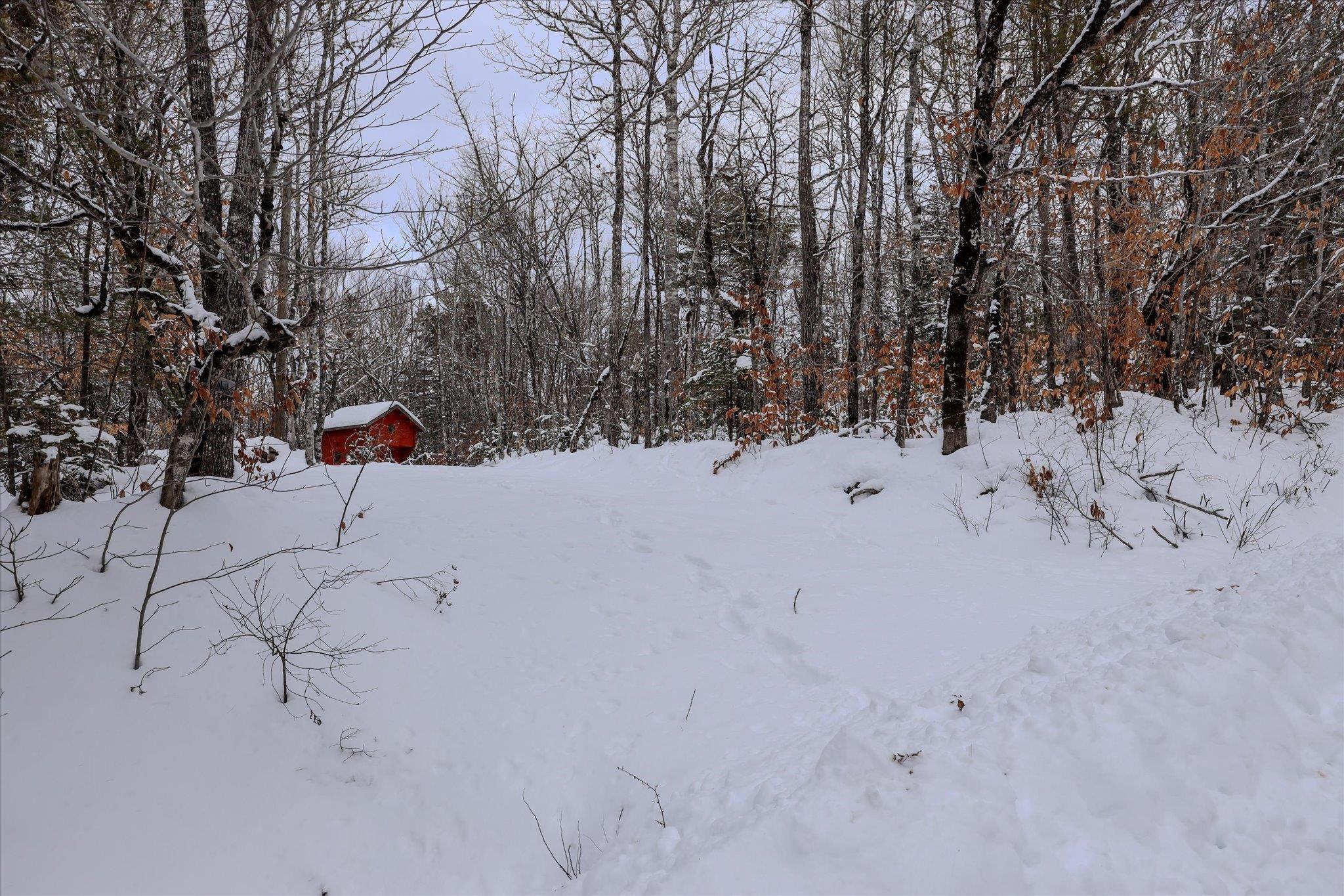 $35,000.00: 170 Uhlman Point Road, Molega North