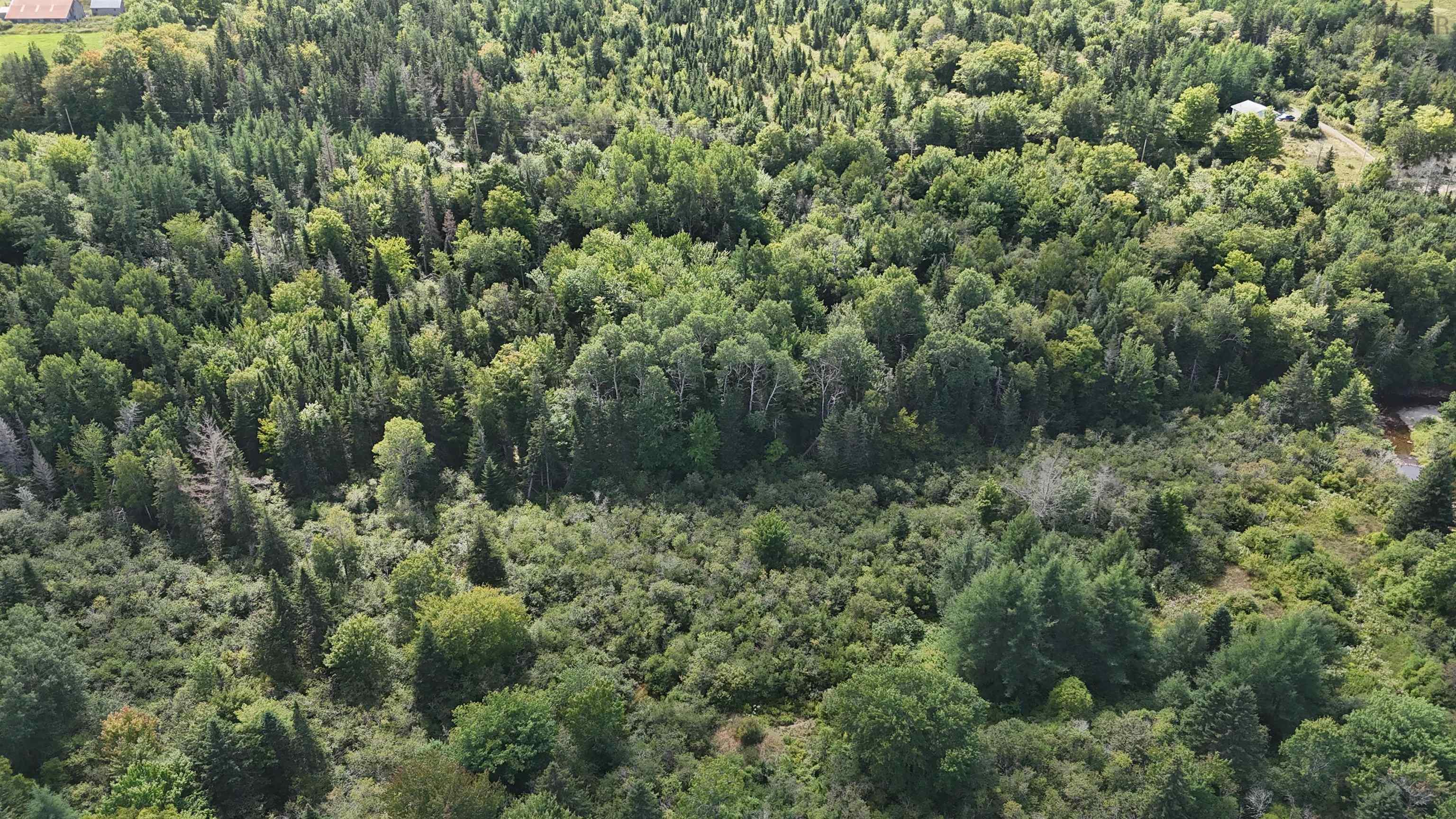 $119,000.00: Upper Glencoe Road, Glencoe