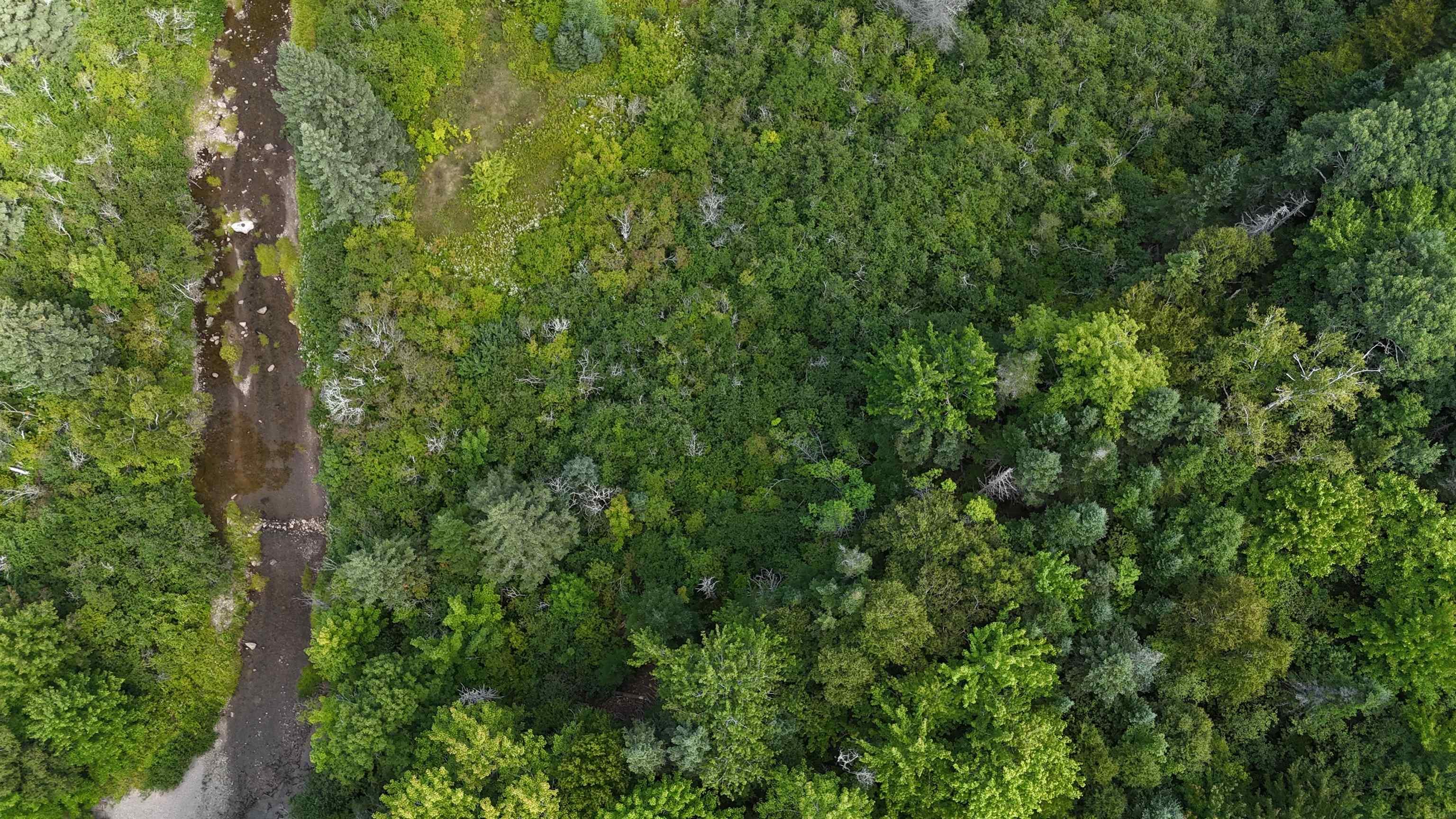 $119,000.00: Upper Glencoe Road, Glencoe