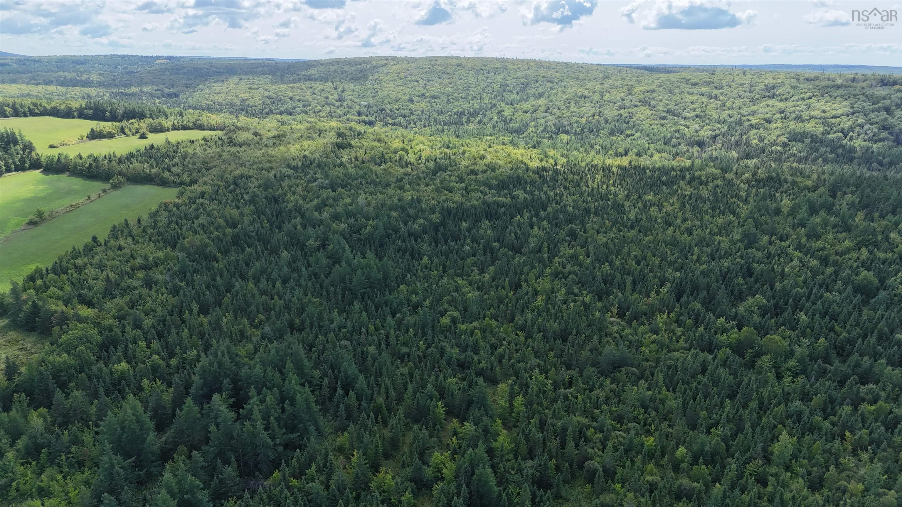 $119,000.00: Upper Glencoe Road, Glencoe