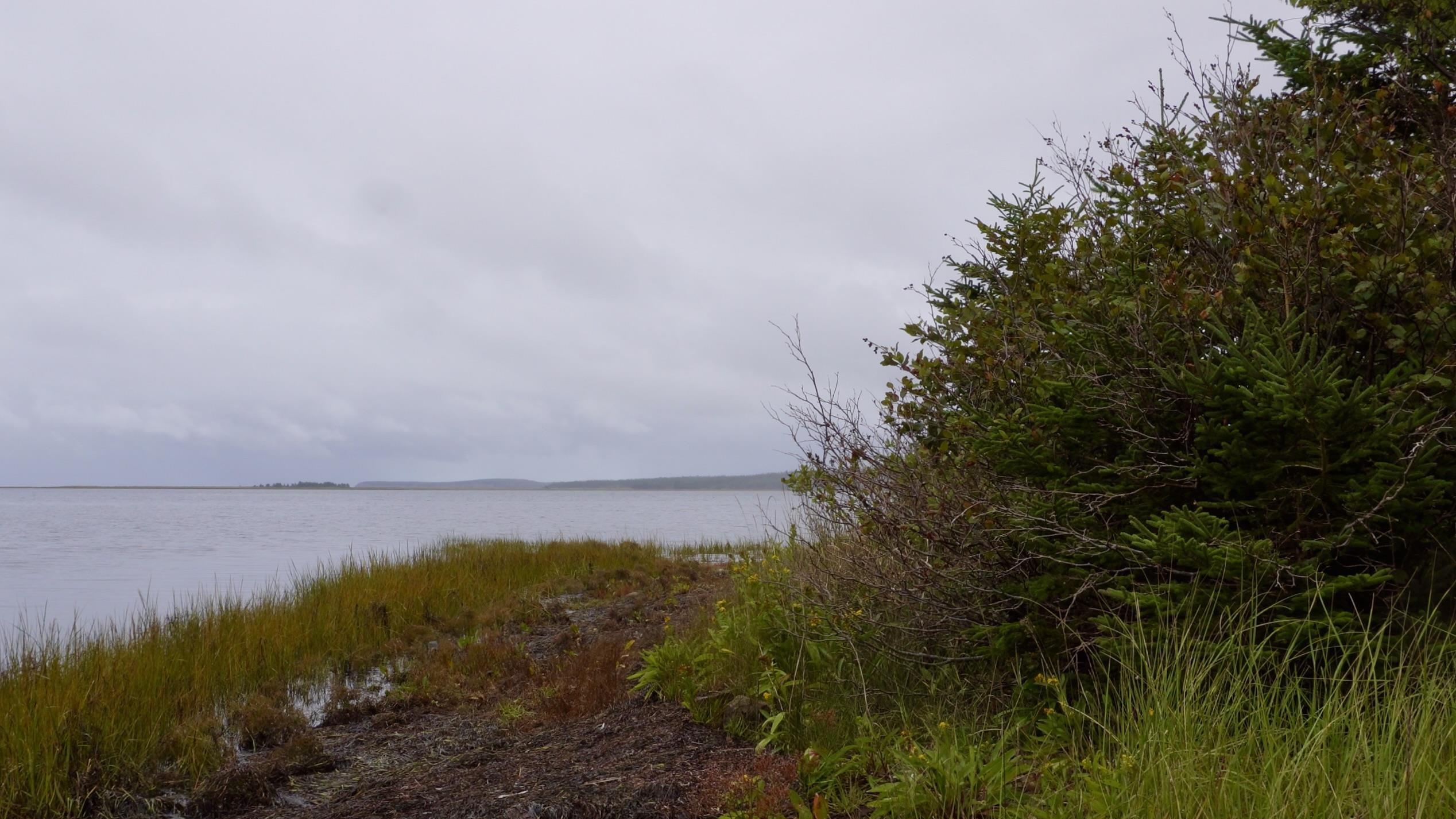 $149,000.00: 2023-1 0 255 Highway, Black Brook