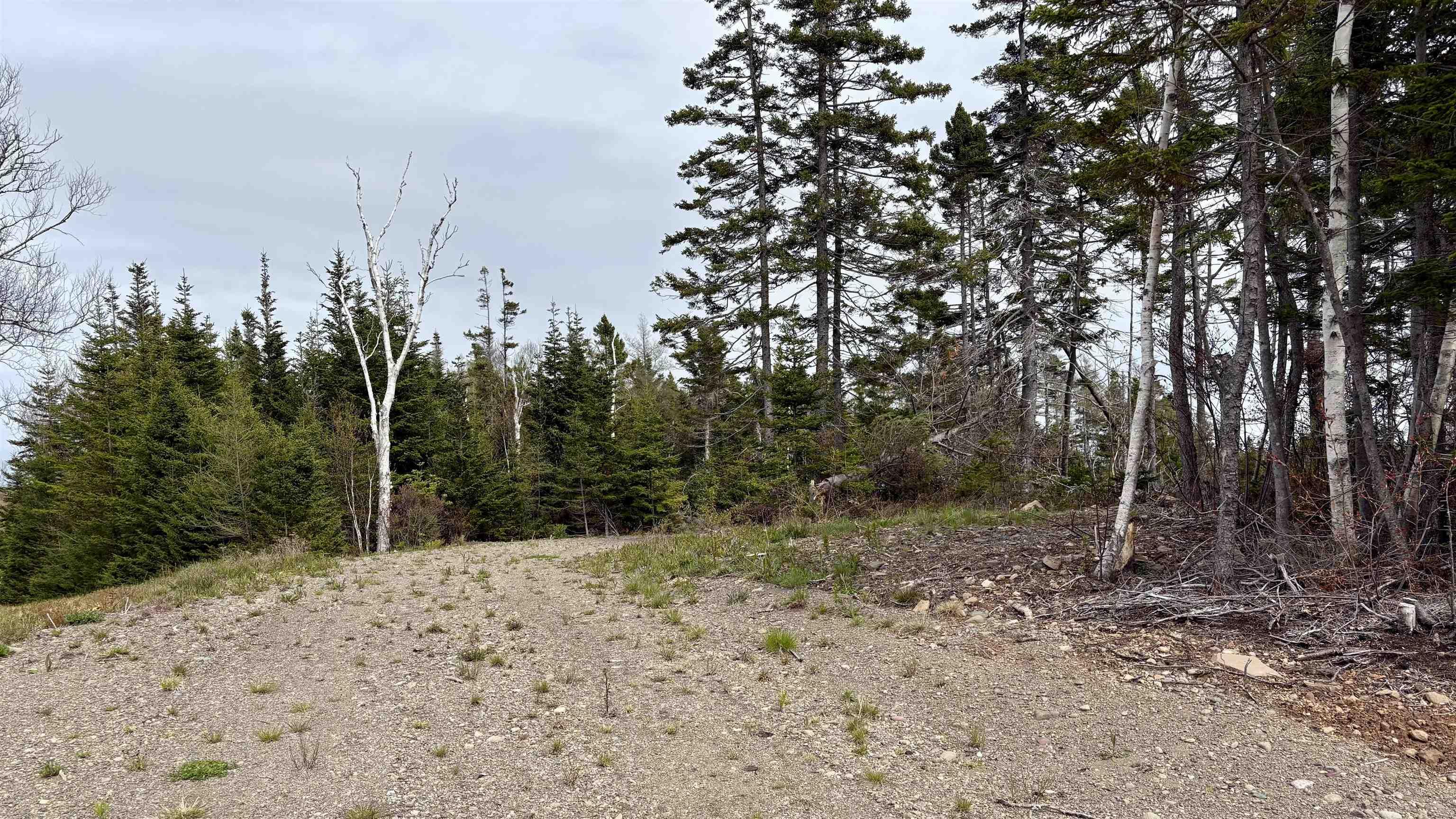 $149,000.00: 2023-1 0 255 Highway, Black Brook