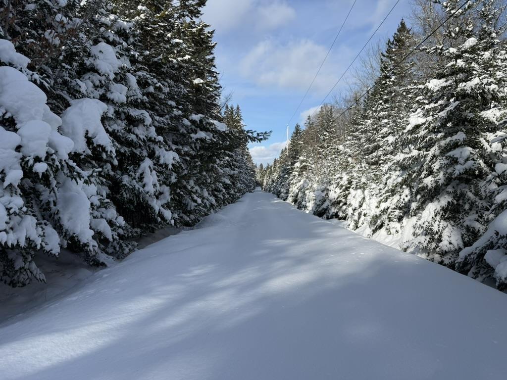 $95,000.00: 43BB Lake Shore Drive, Briar Lake