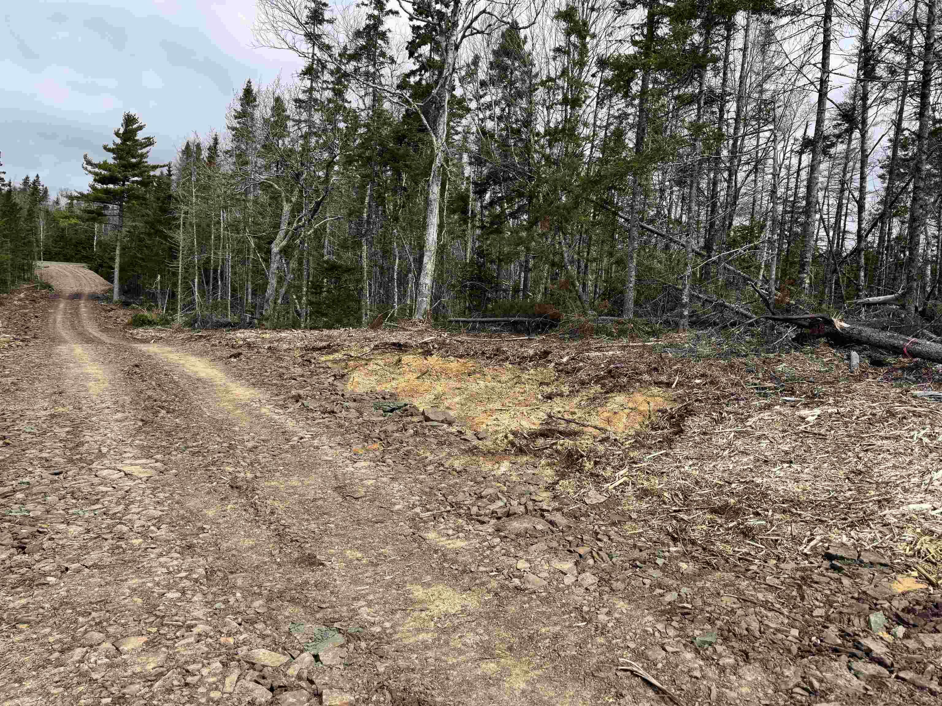 $129,000.00: 3 Hillside Rd Lot 3 Marion Bridge, Marion Bridge