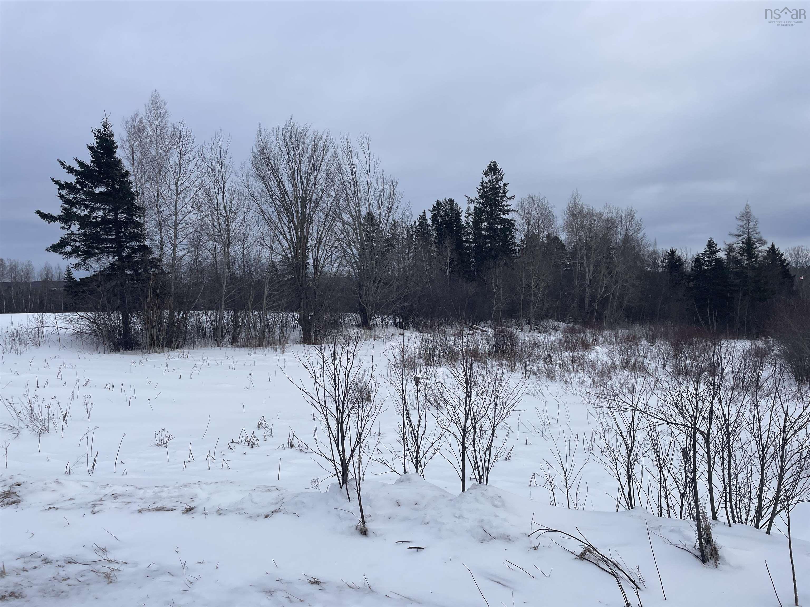 $89,000.00: 9 Reid Road, Little River