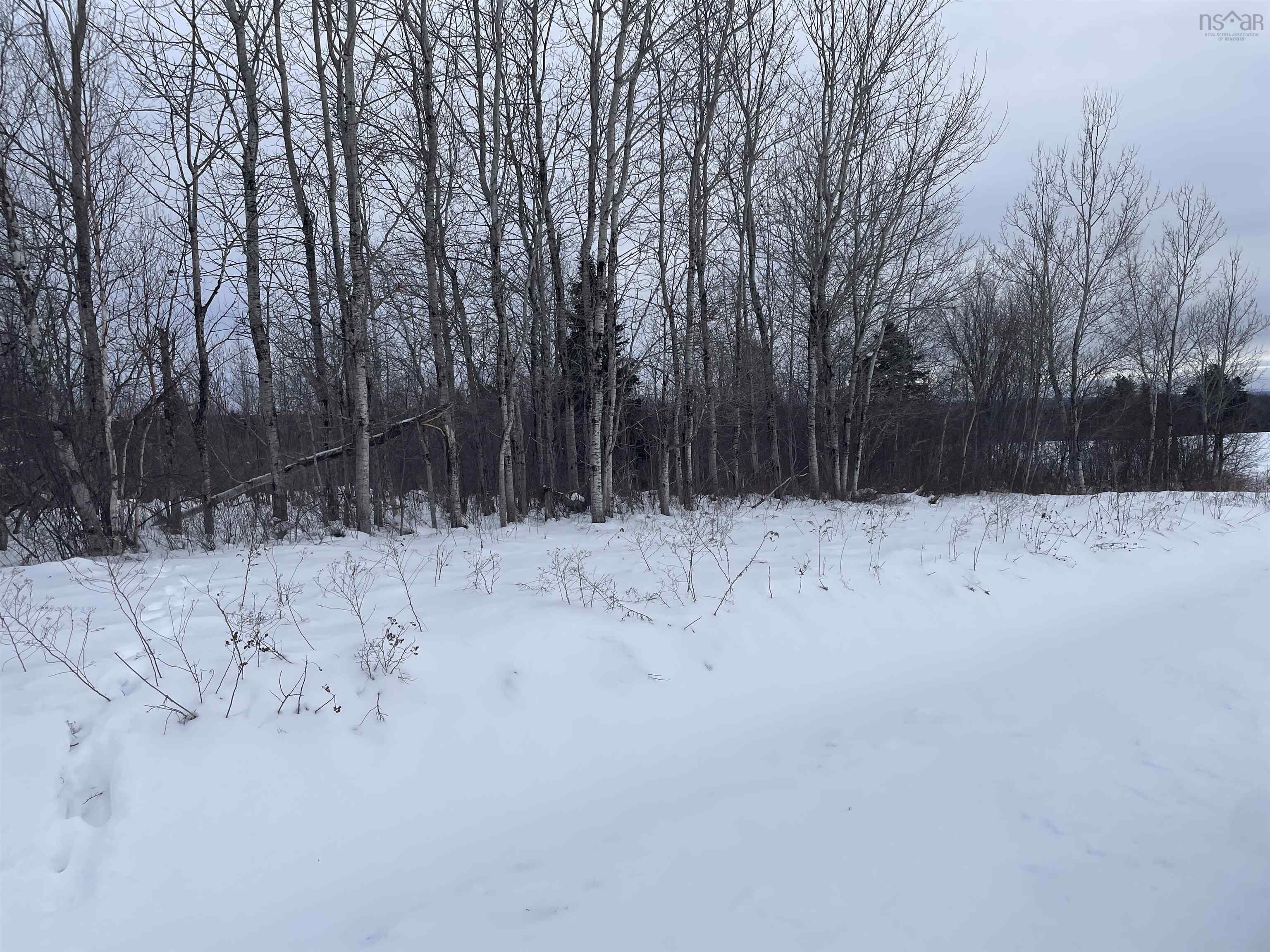 Highway 204, Little River, NS (MLS 202602539)