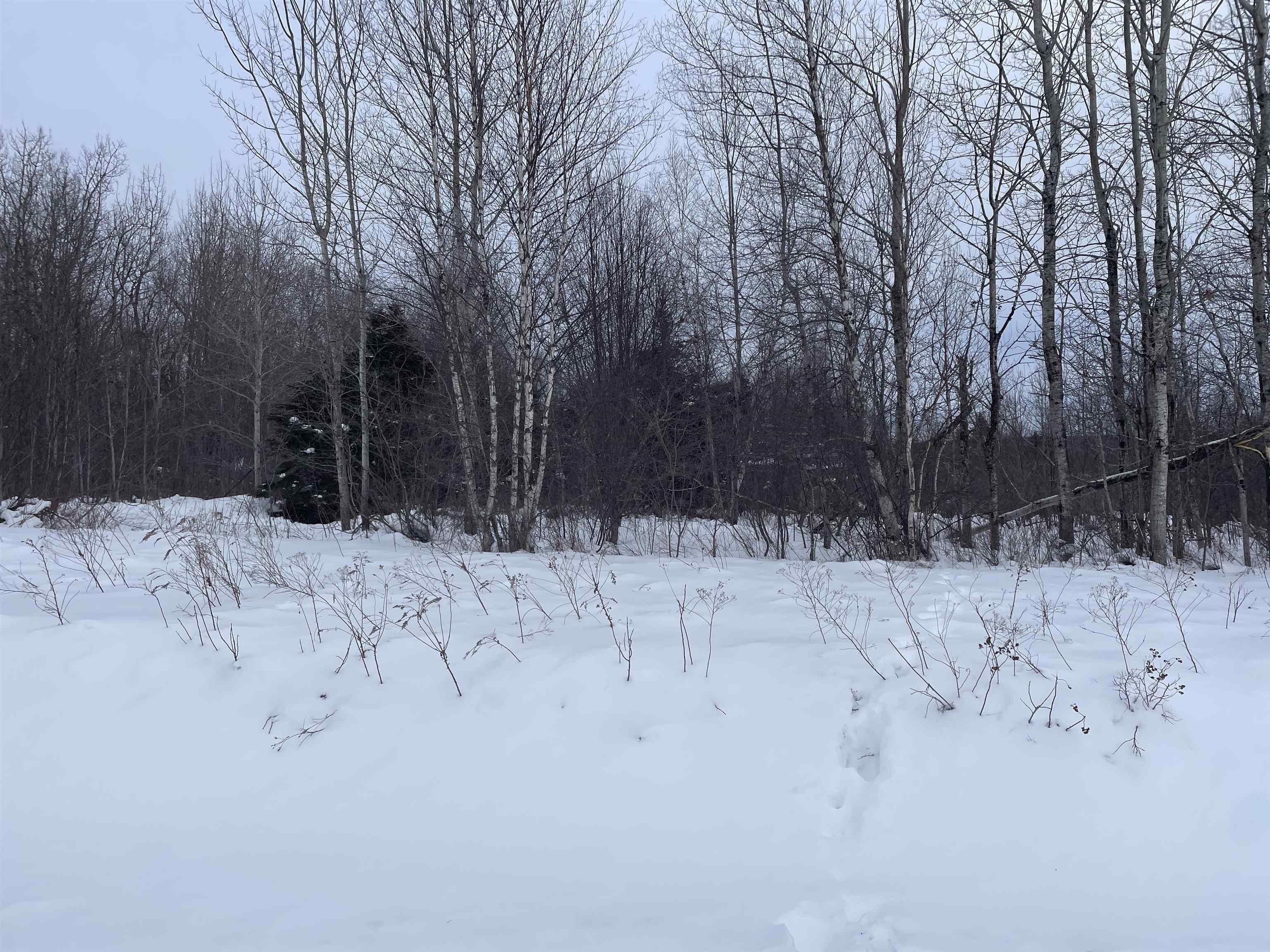 $29,000.00: Highway 204, Little River