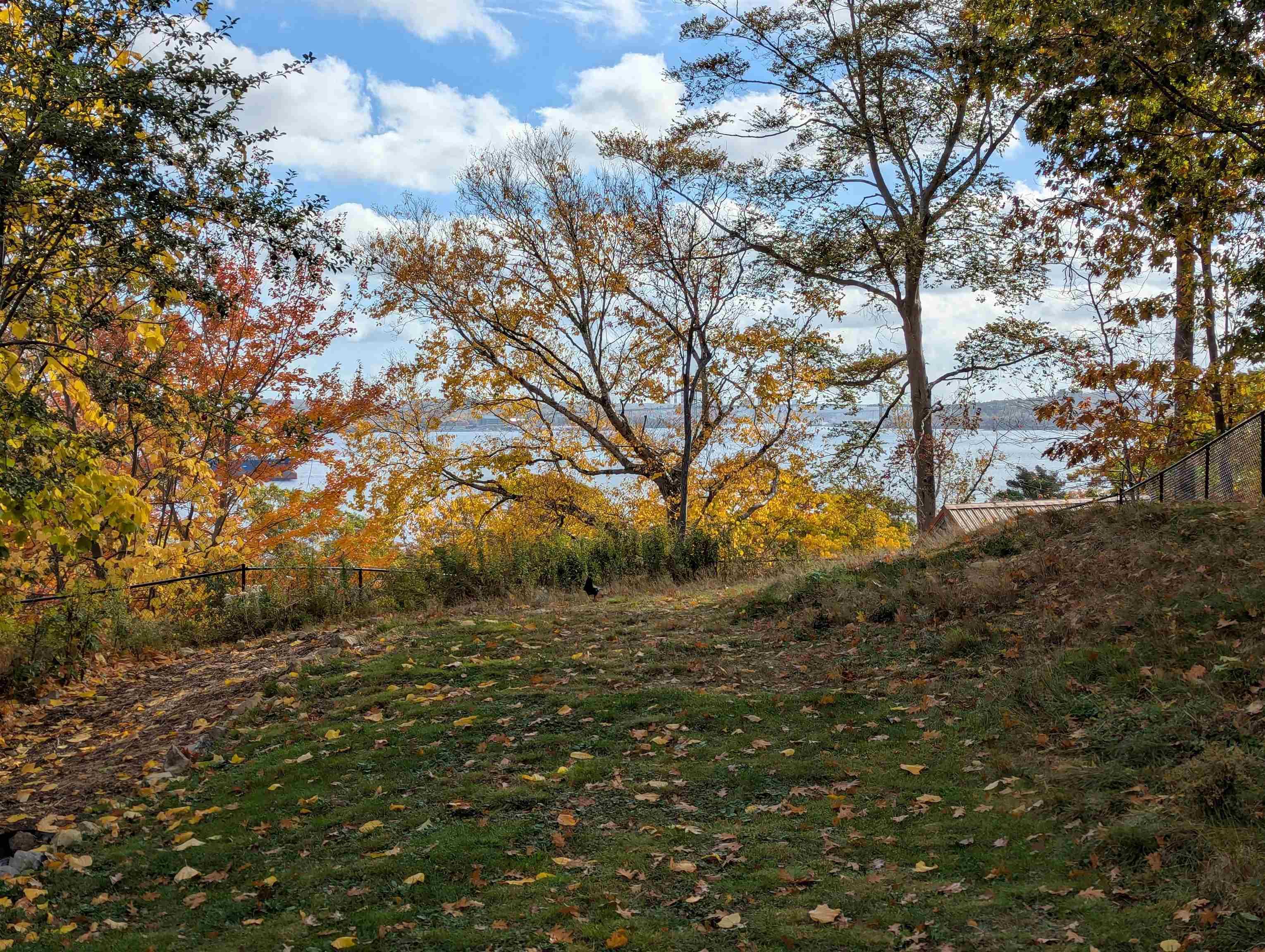 24 Lodge Drive, Halifax, NS (MLS 202602540)