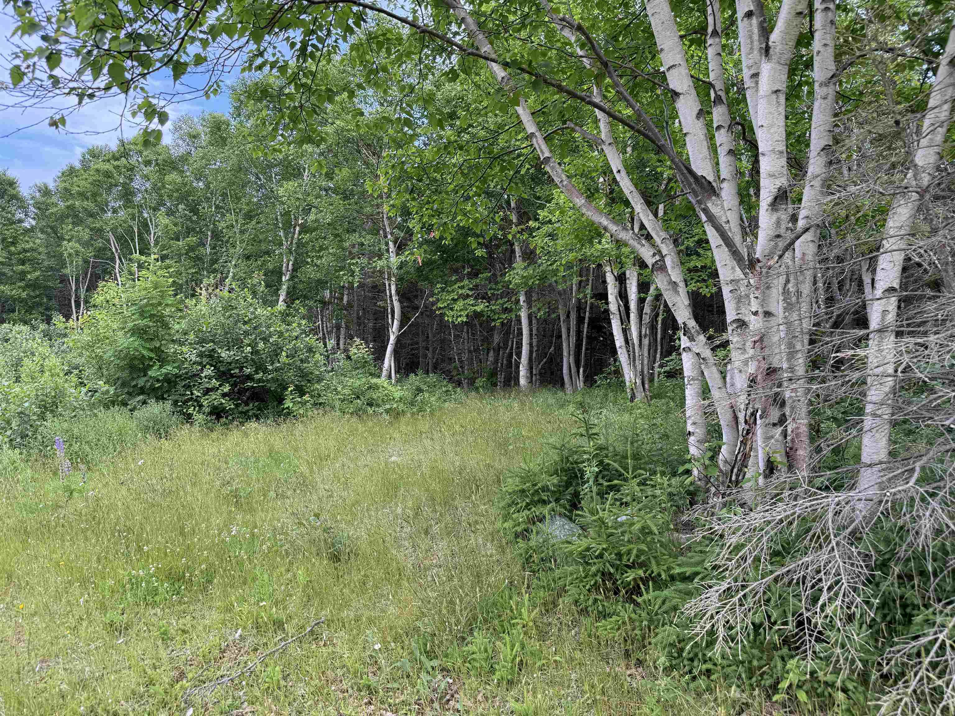 $235,000.00: 41251 Cabot Trail, Wreck Cove